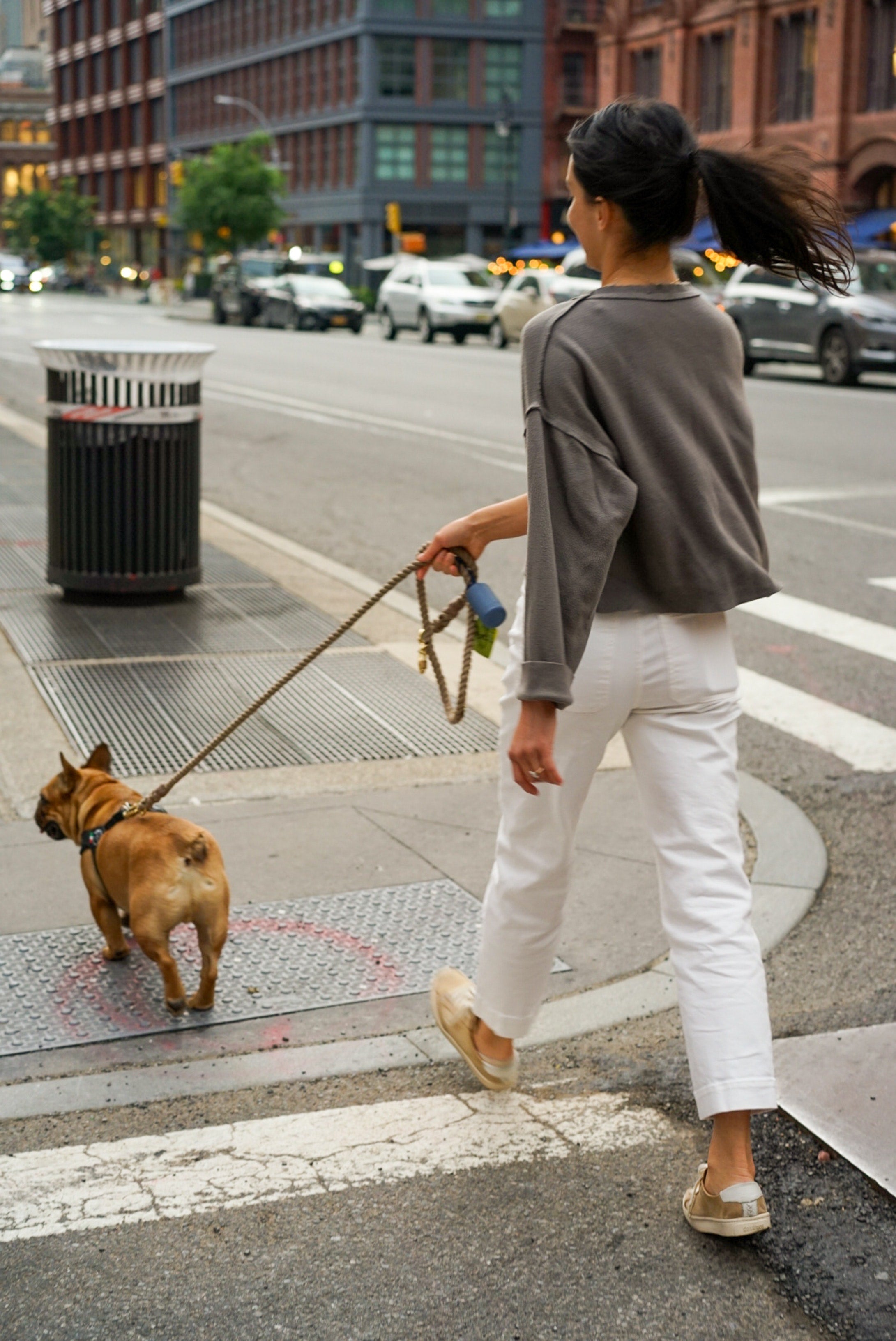 Laisse ou harnais : les accessoires pour son chien