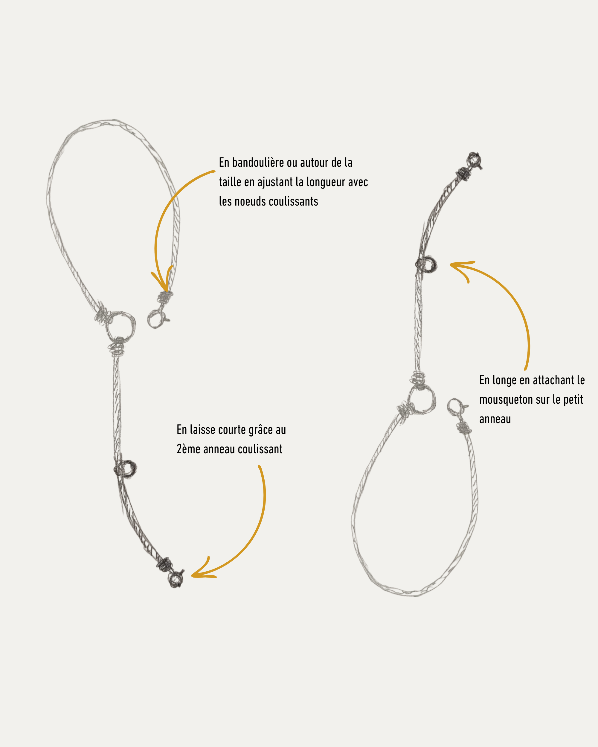 Laisse Cassandre – Sapin