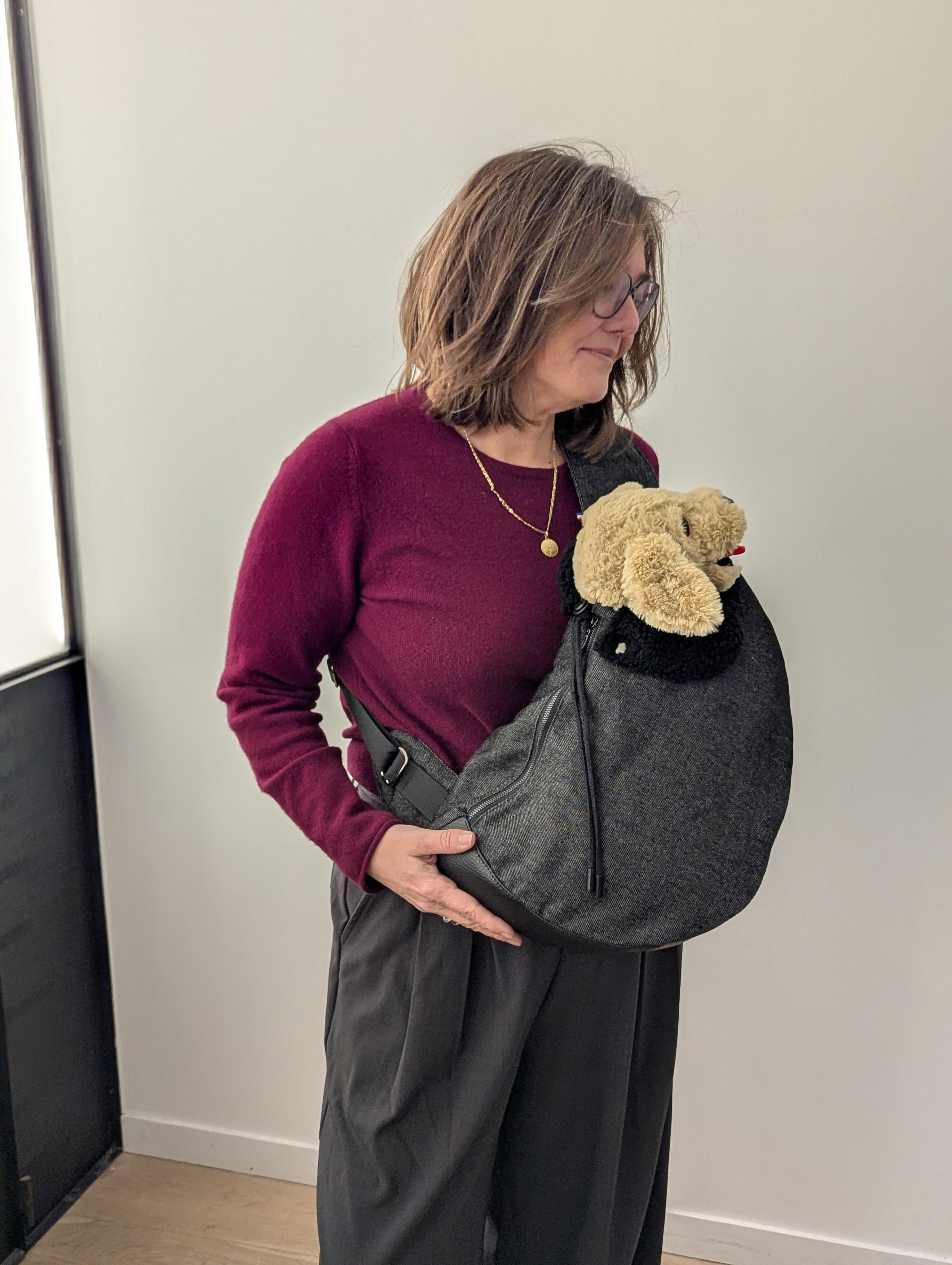 The carrying bag