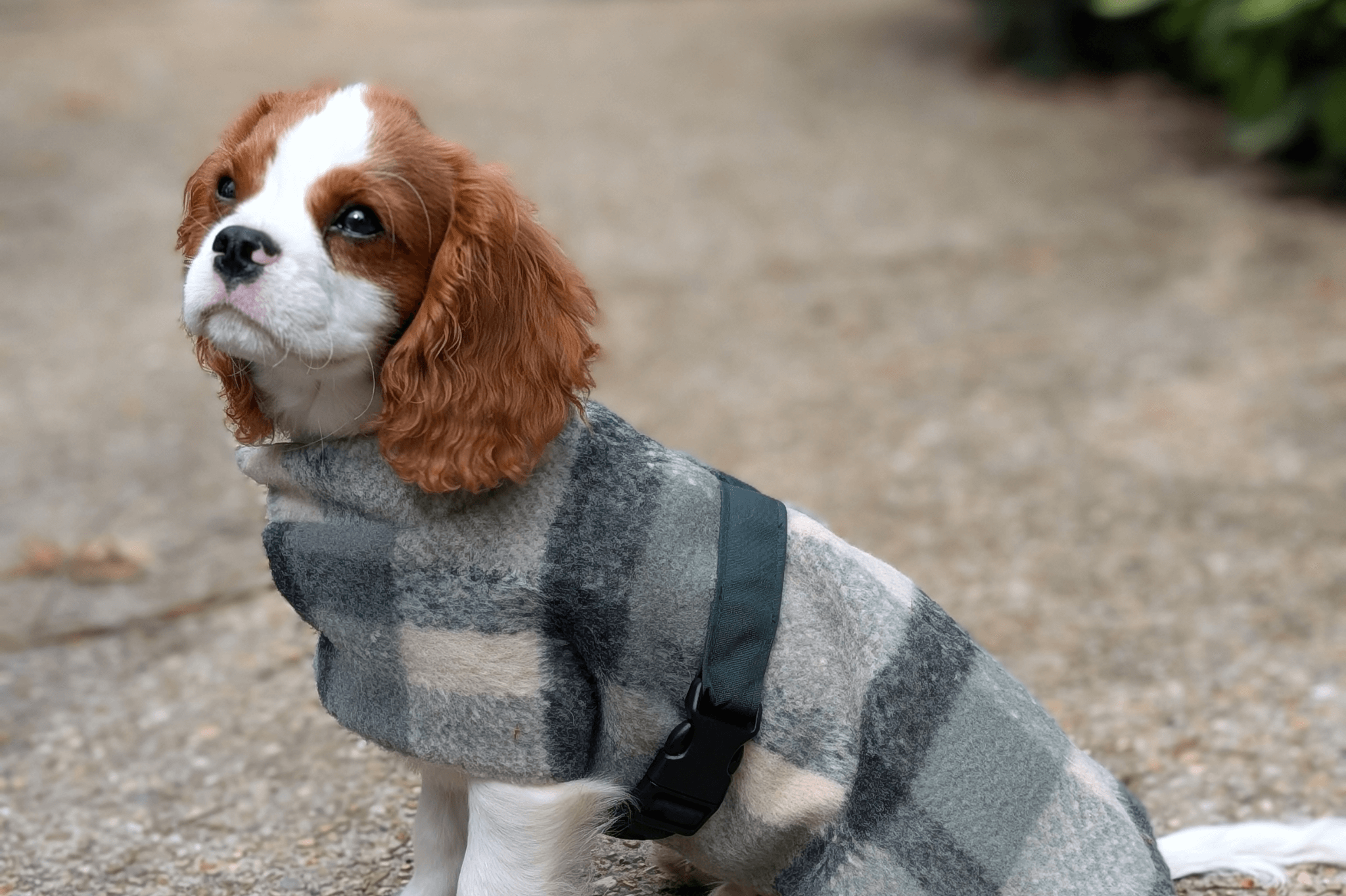 Photo lifestyle Collection Fontainebleau