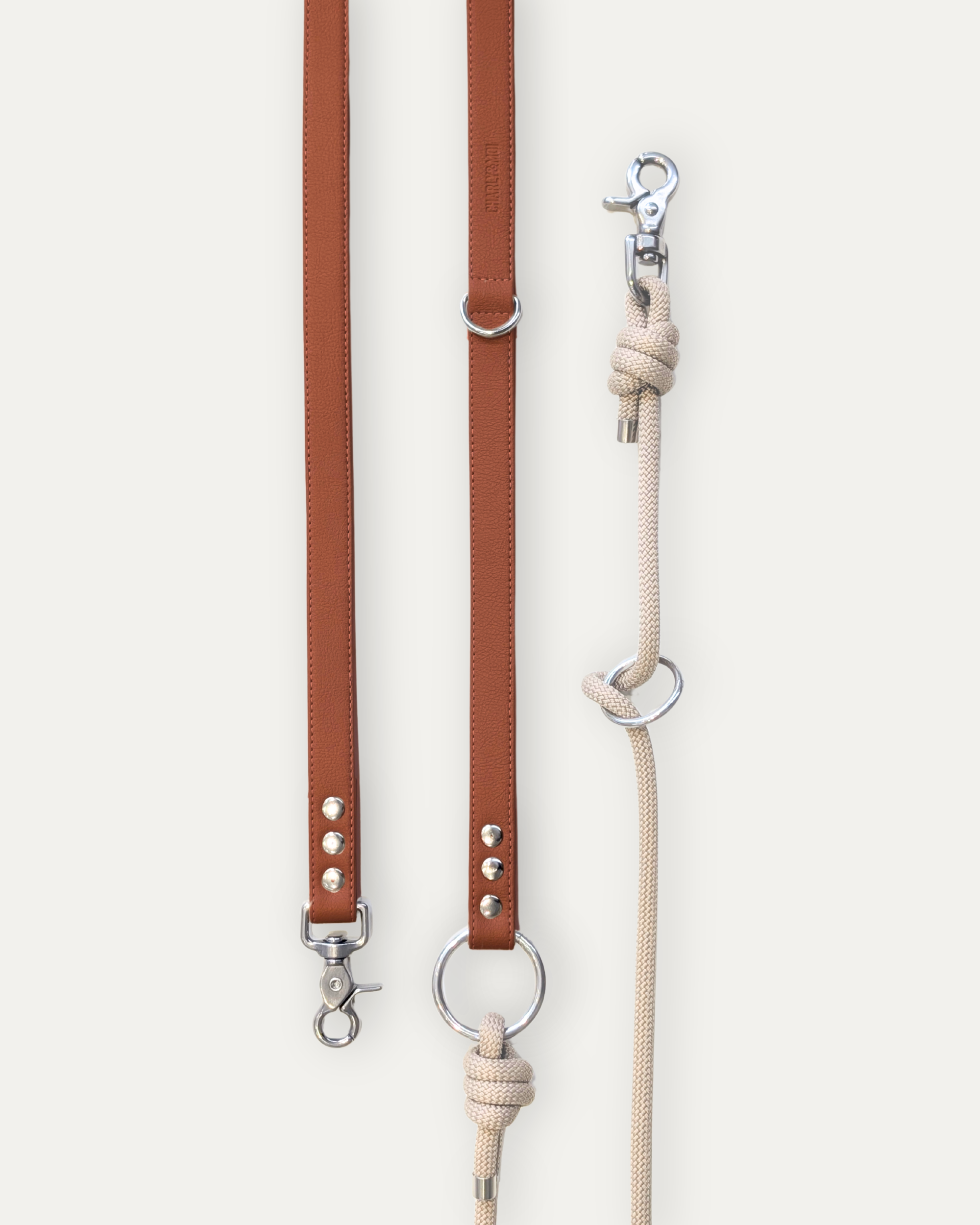 Laisse Cassandre – Bordeaux