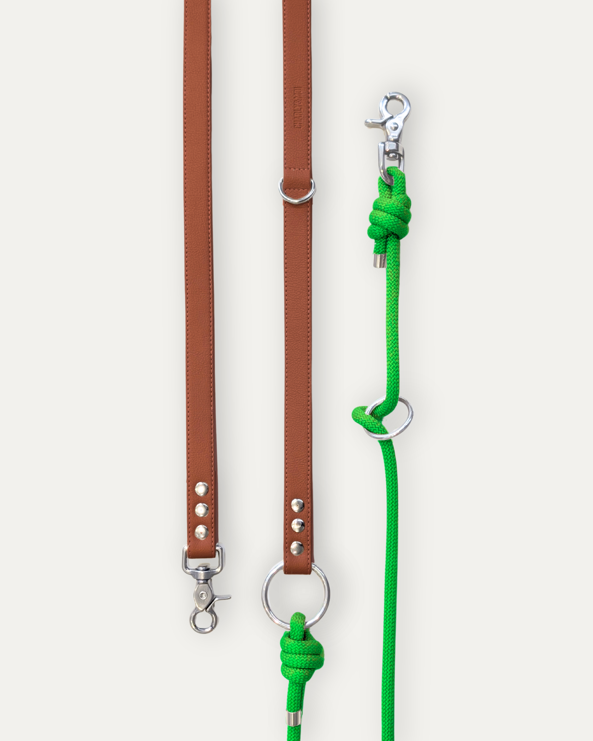 Laisse Cassandre – Bordeaux