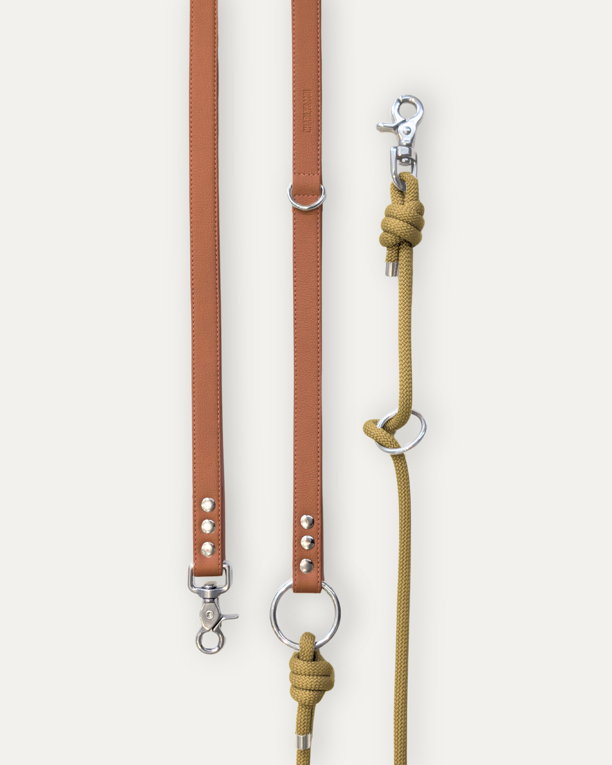 Laisse Cassandre – Cognac