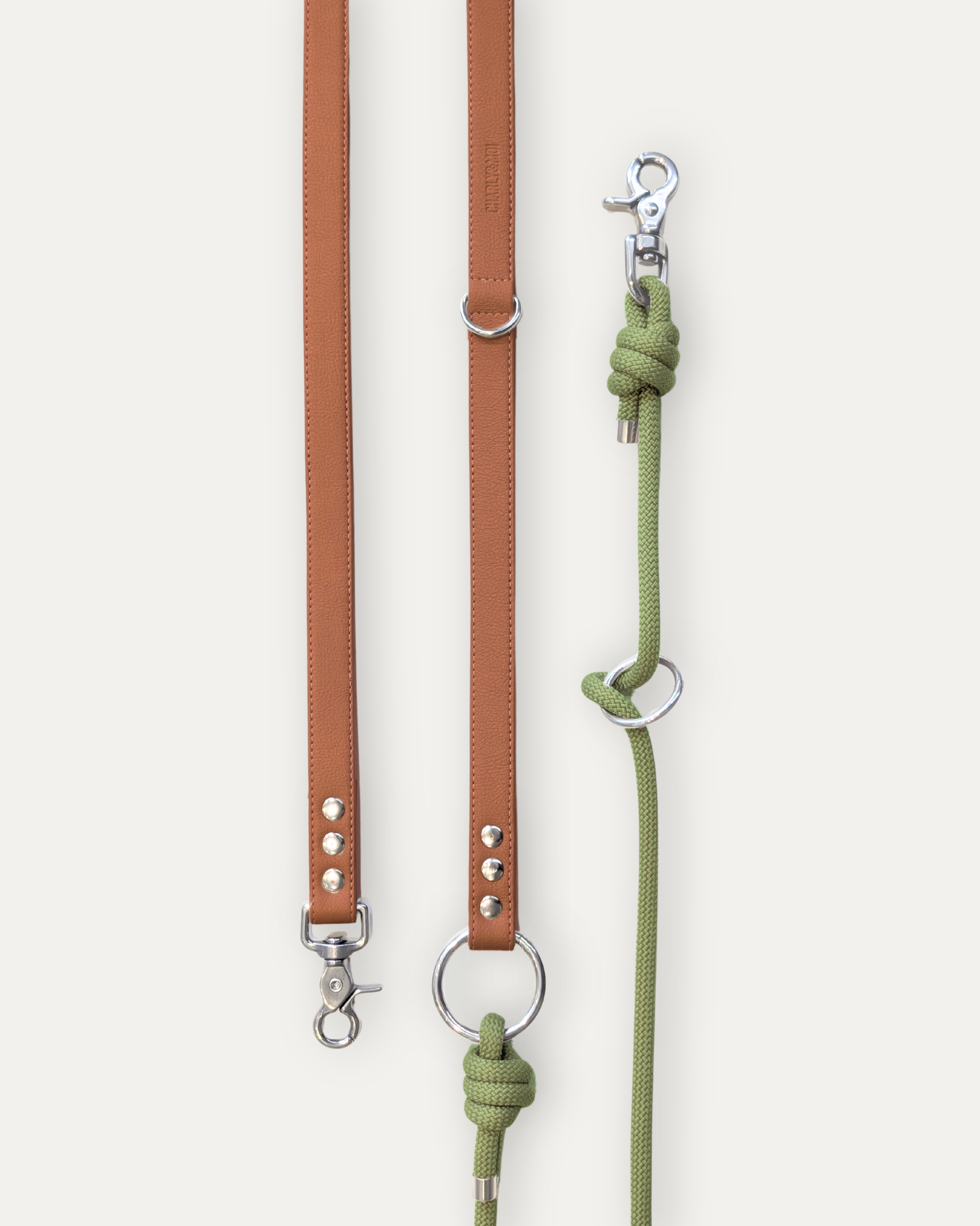 Laisse Cassandre – Cognac