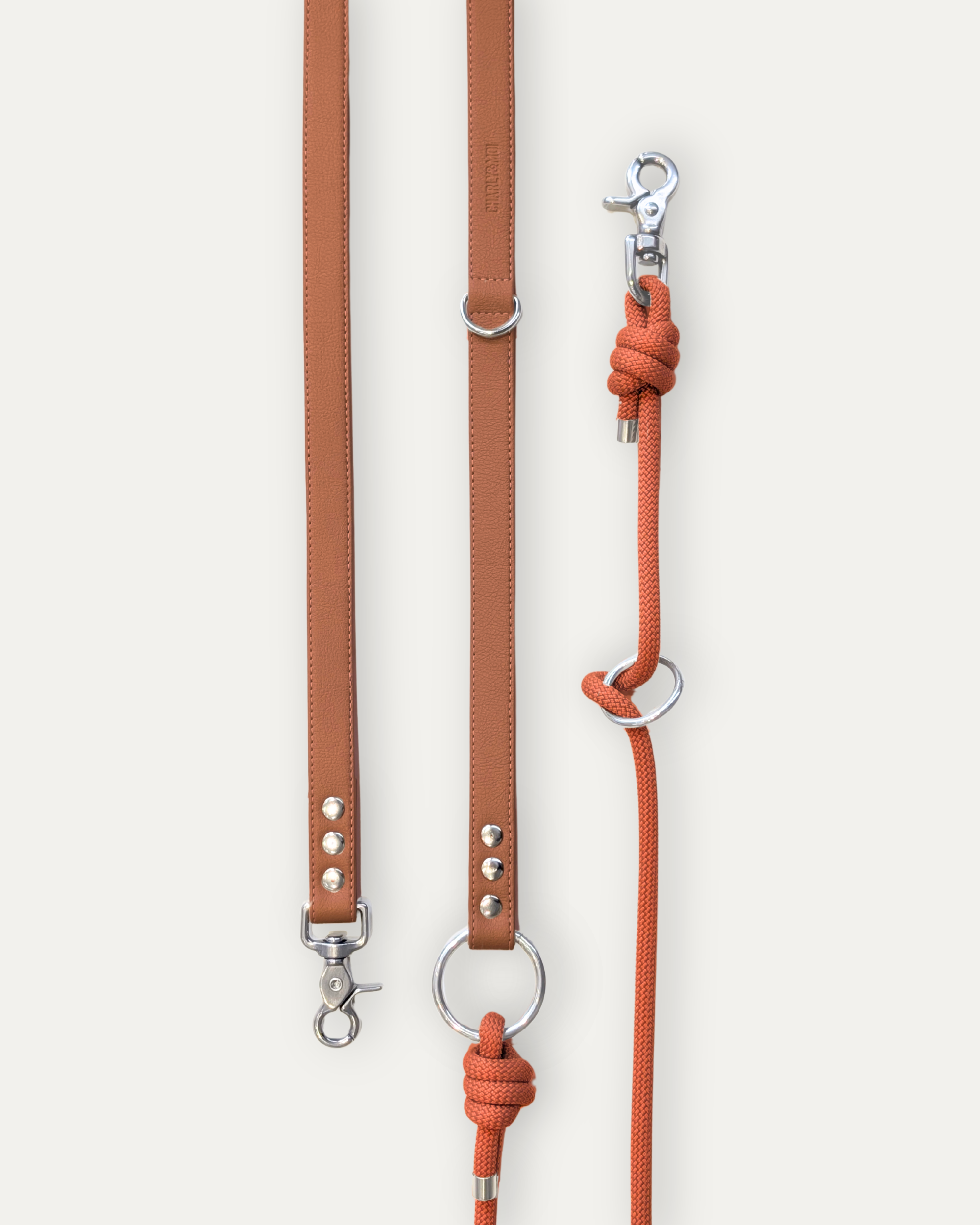 Laisse Cassandre – Cognac