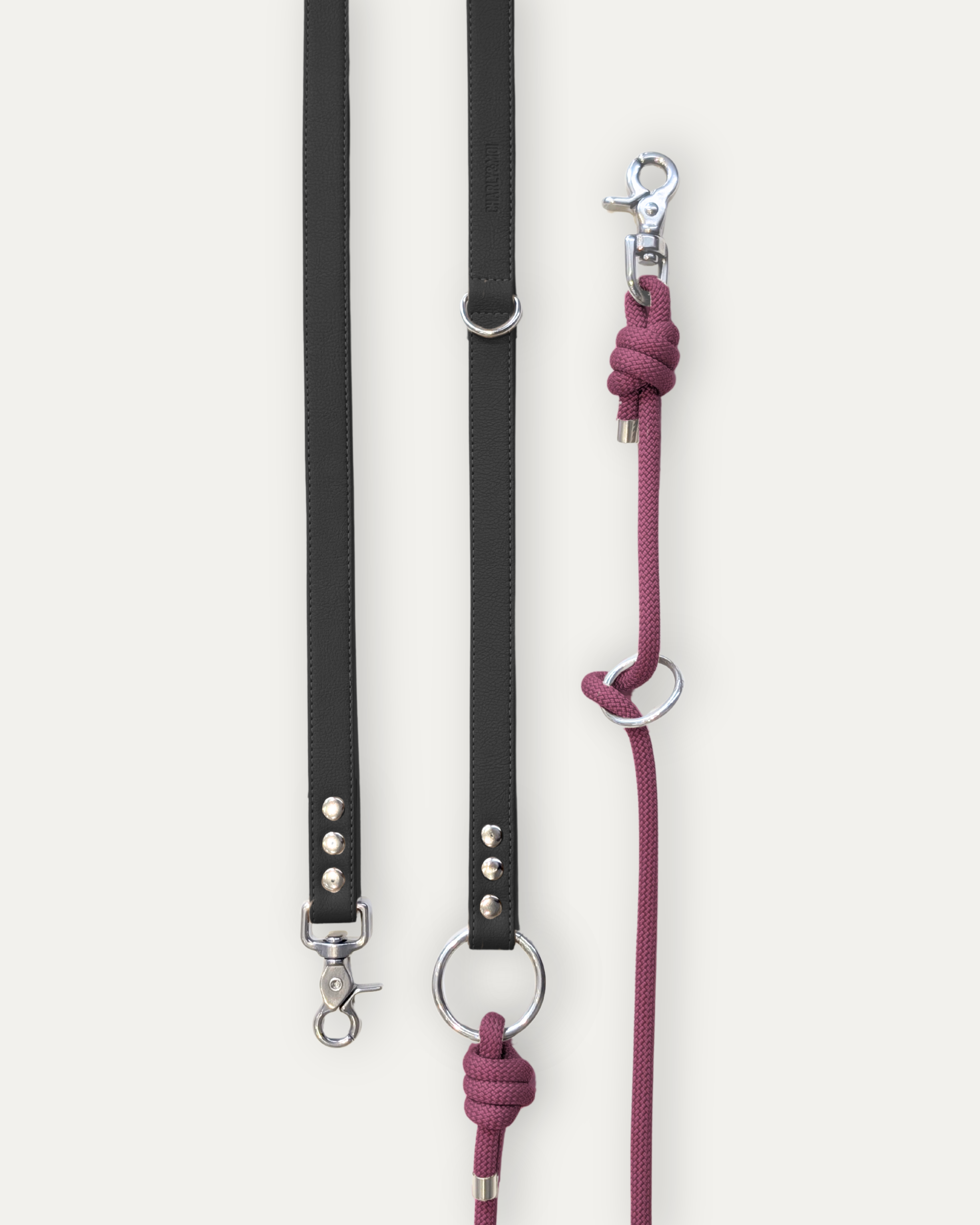 Laisse Cassandre – Noir