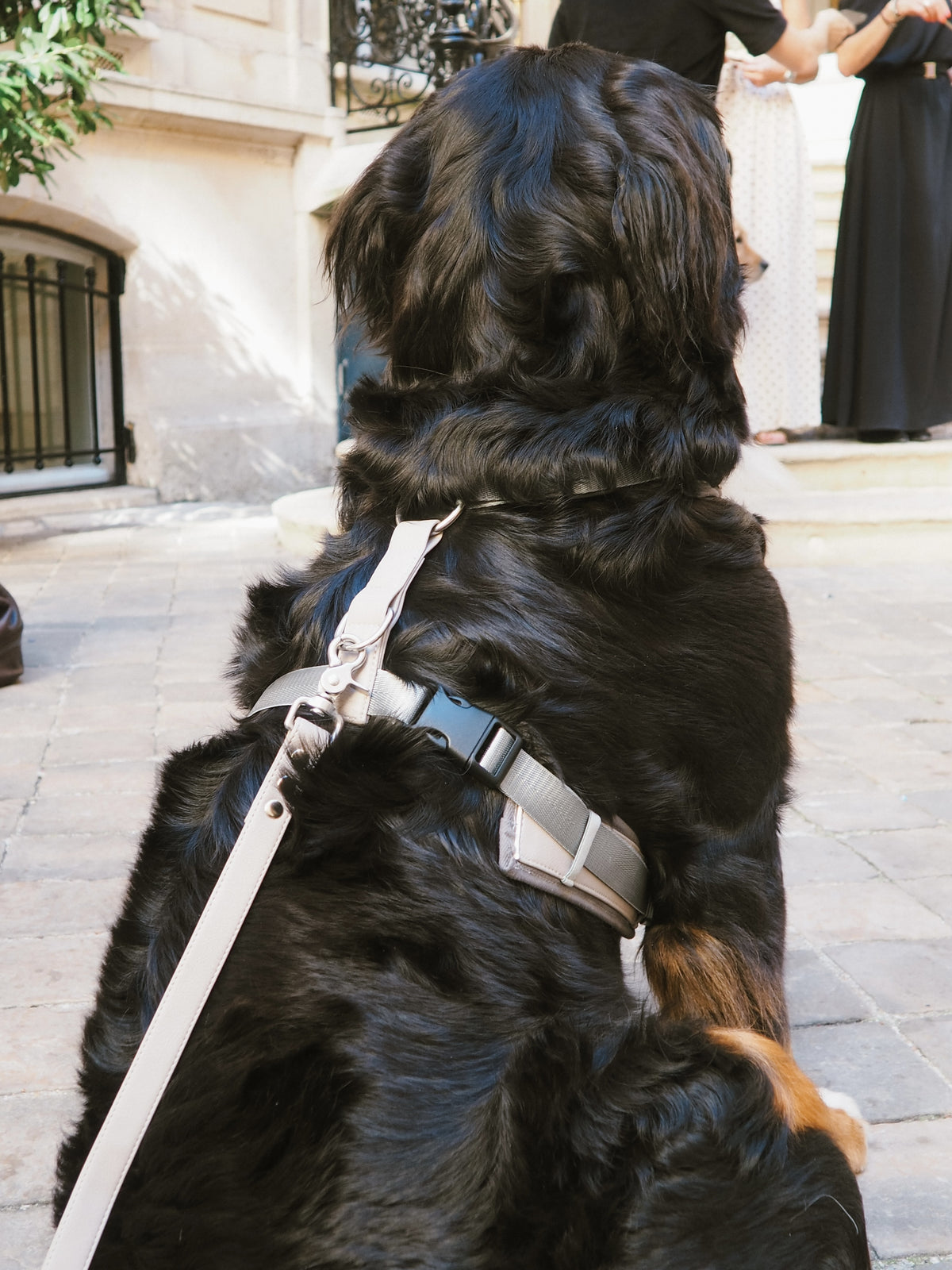 Harnais chien ergonomique végan Nino – photo 2