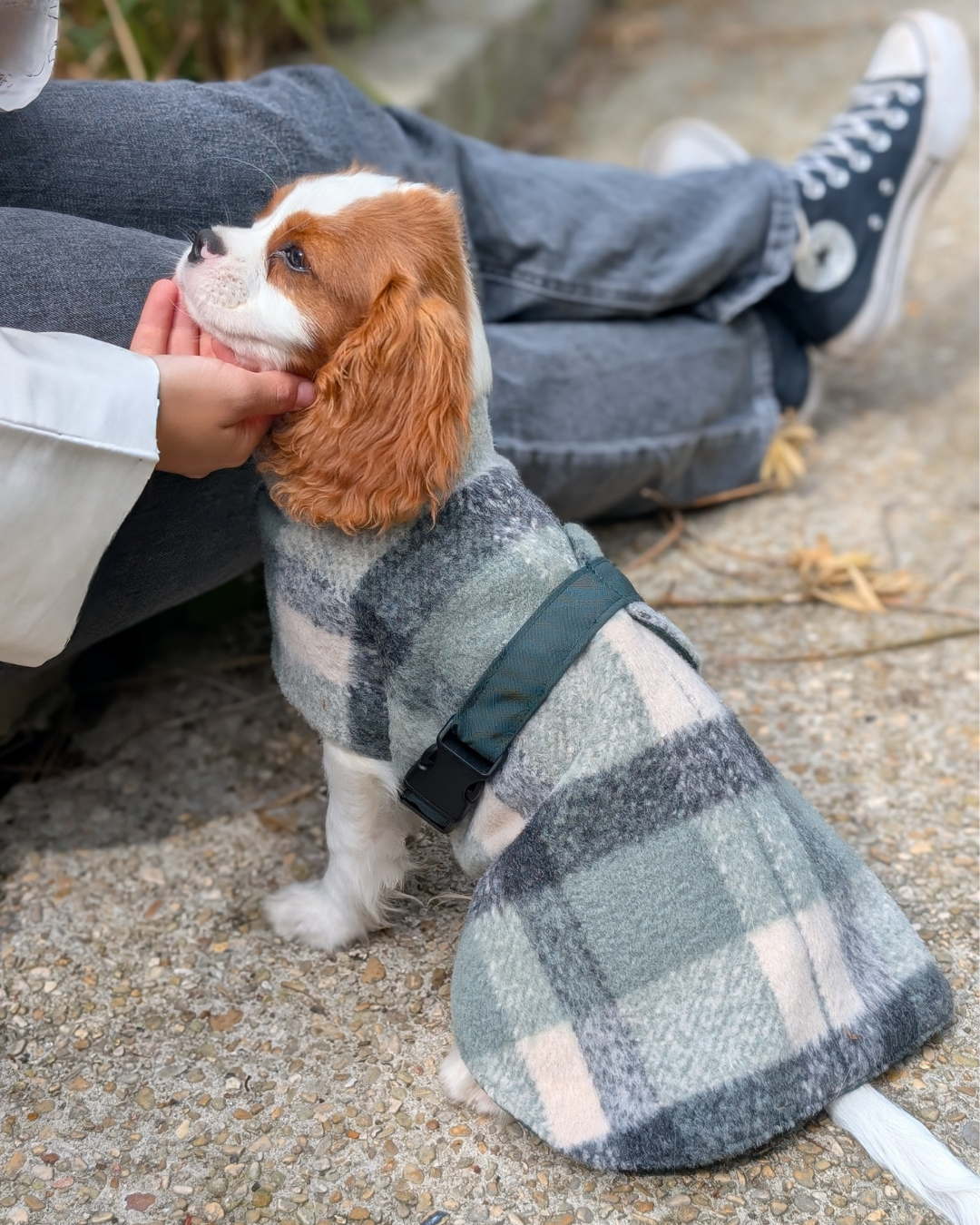 Le manteau Sully