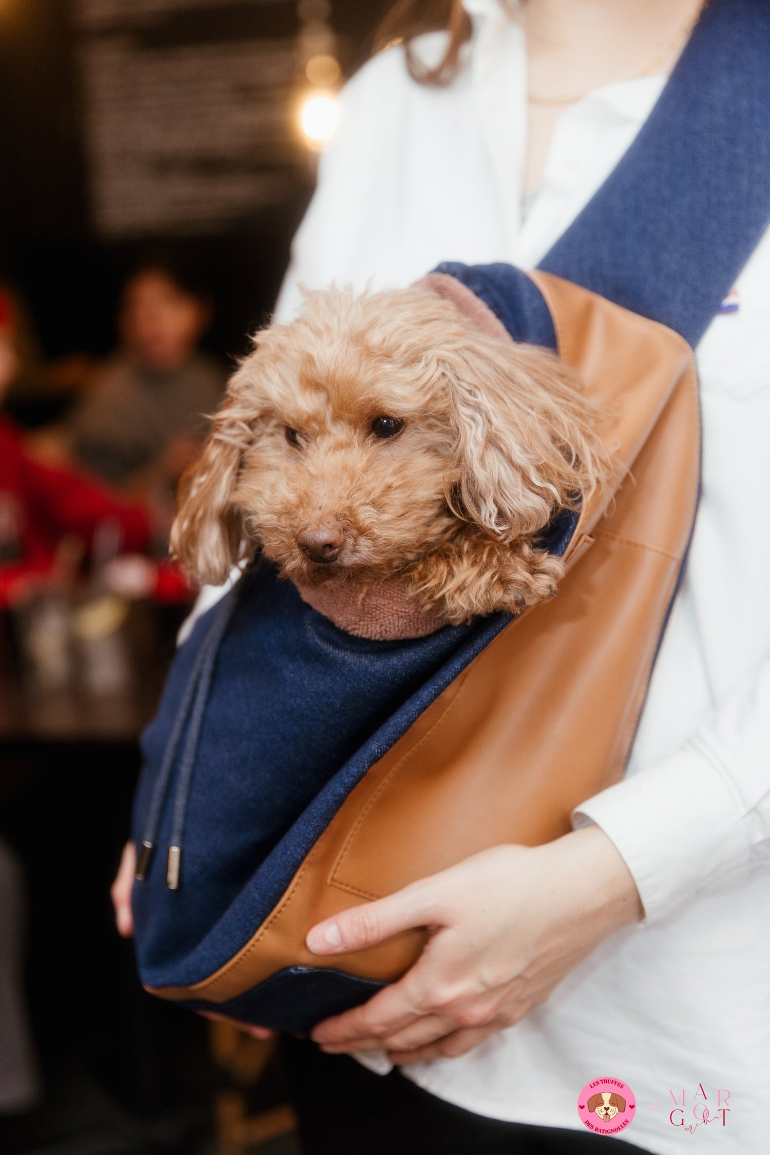 La borsa per il trasporto
