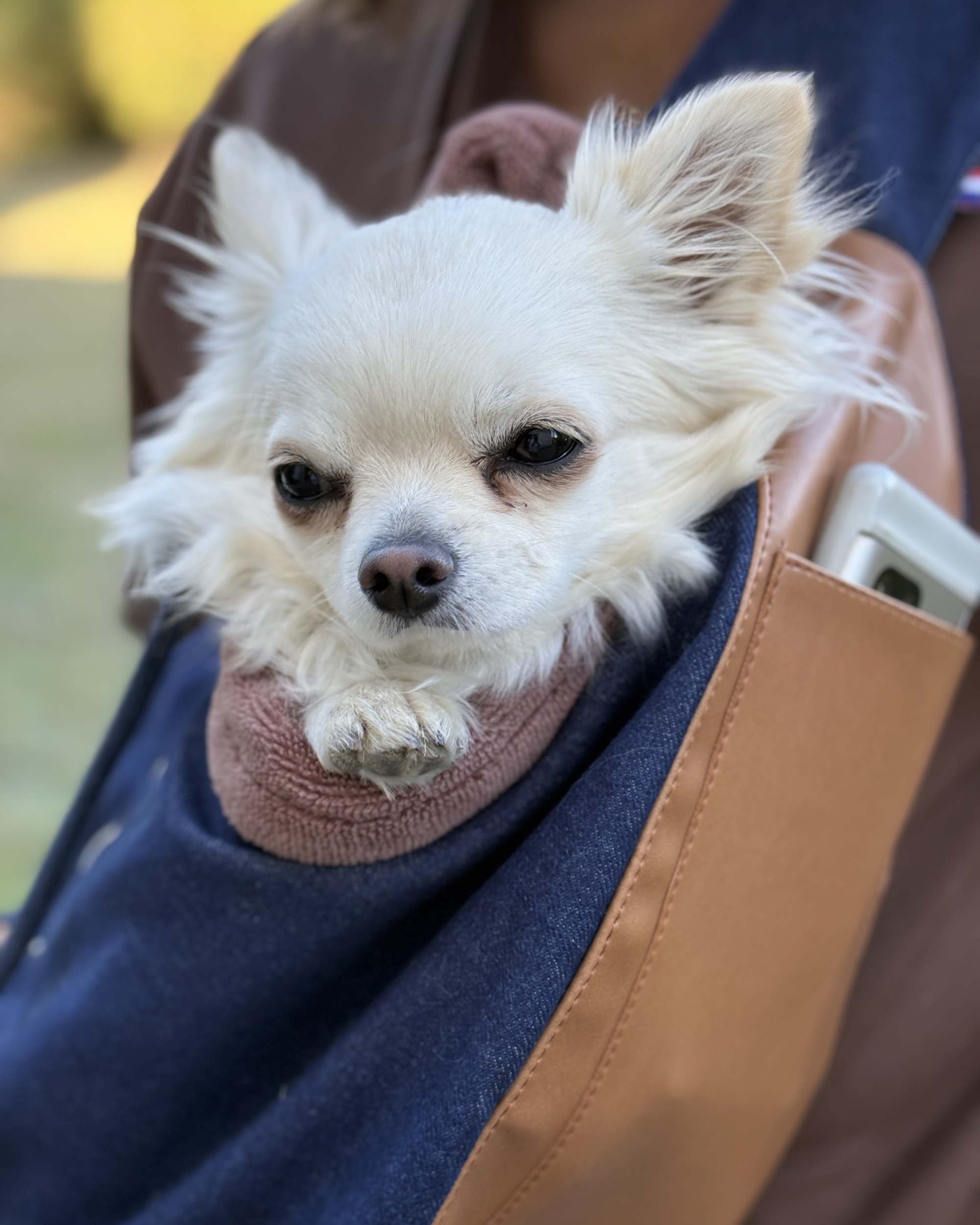 Le sac de transport Babylone - Marine