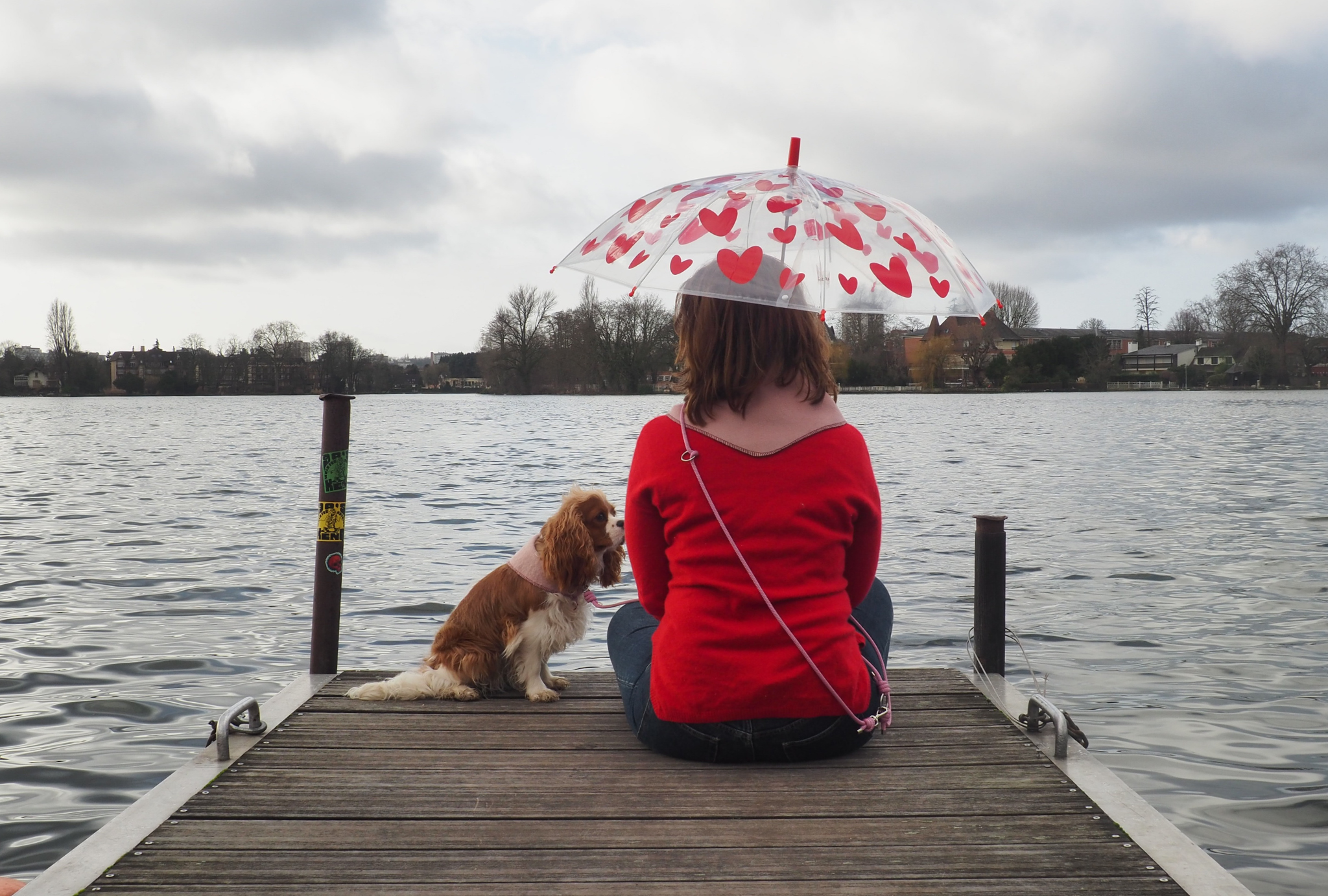 Saint-Valentin avec son chien : activités et cadeaux pour les dog parents
