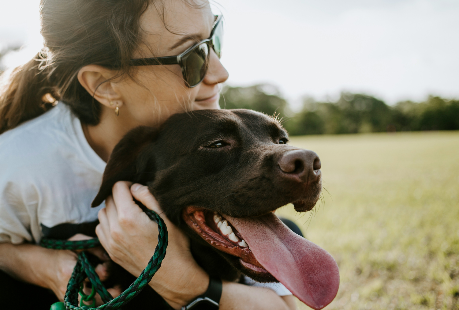 Comment faire garder son chien pendant les vacances ?