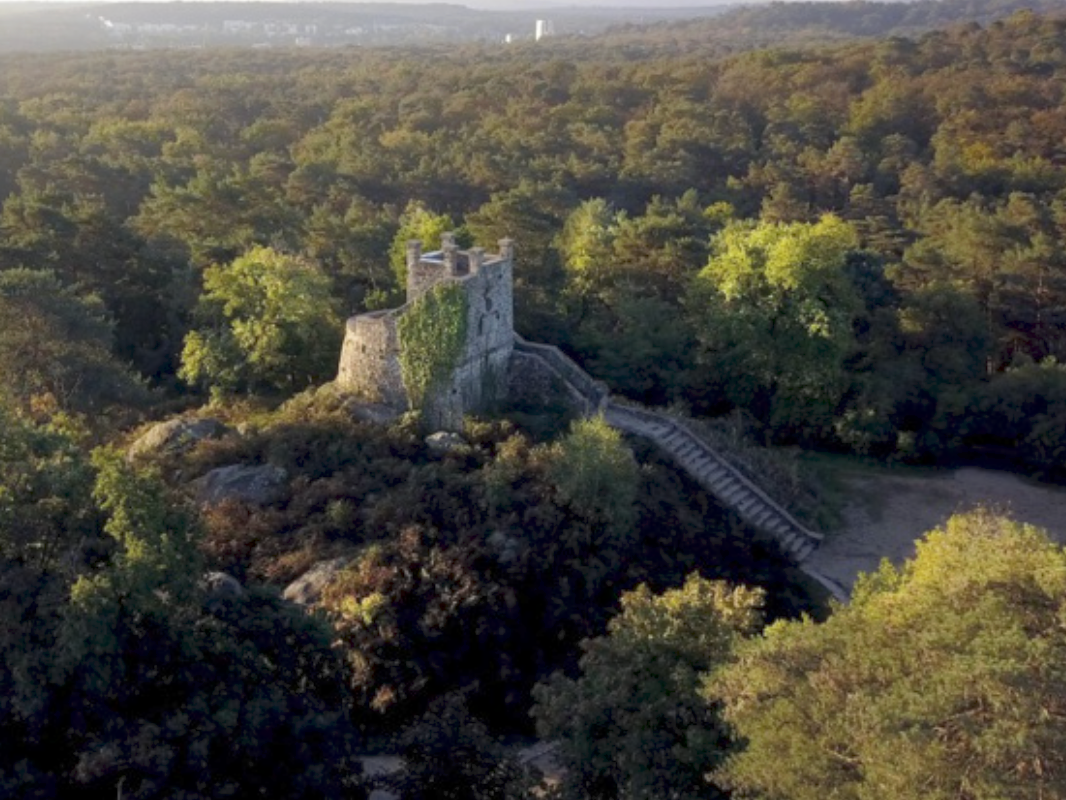 collection fontainebleau charly et moi