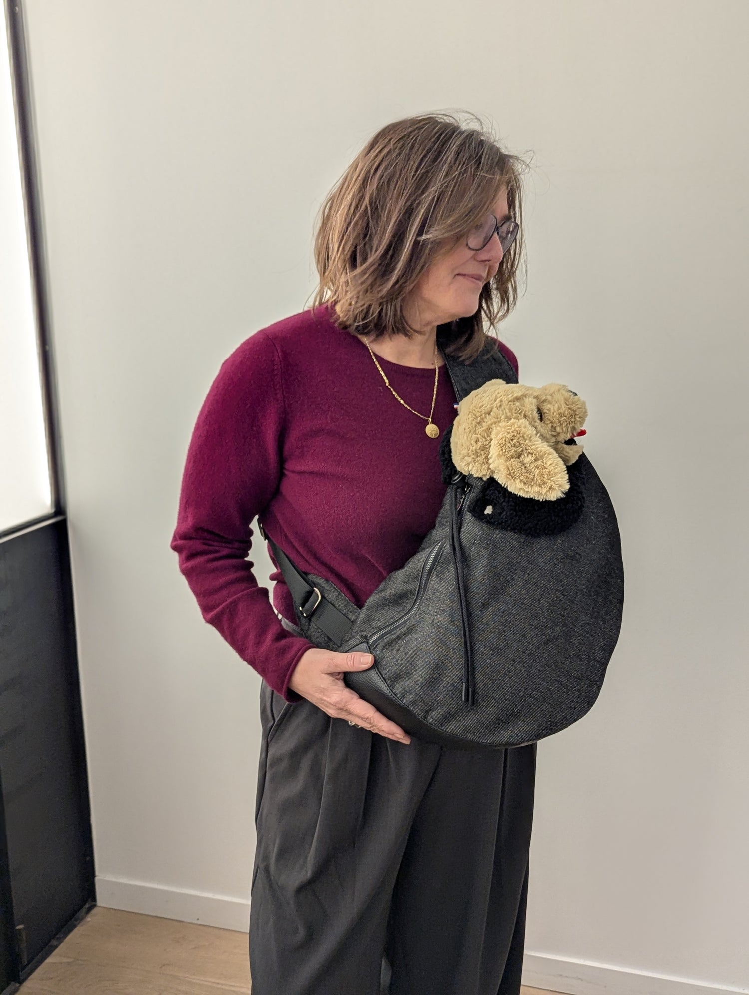 The carrying bag