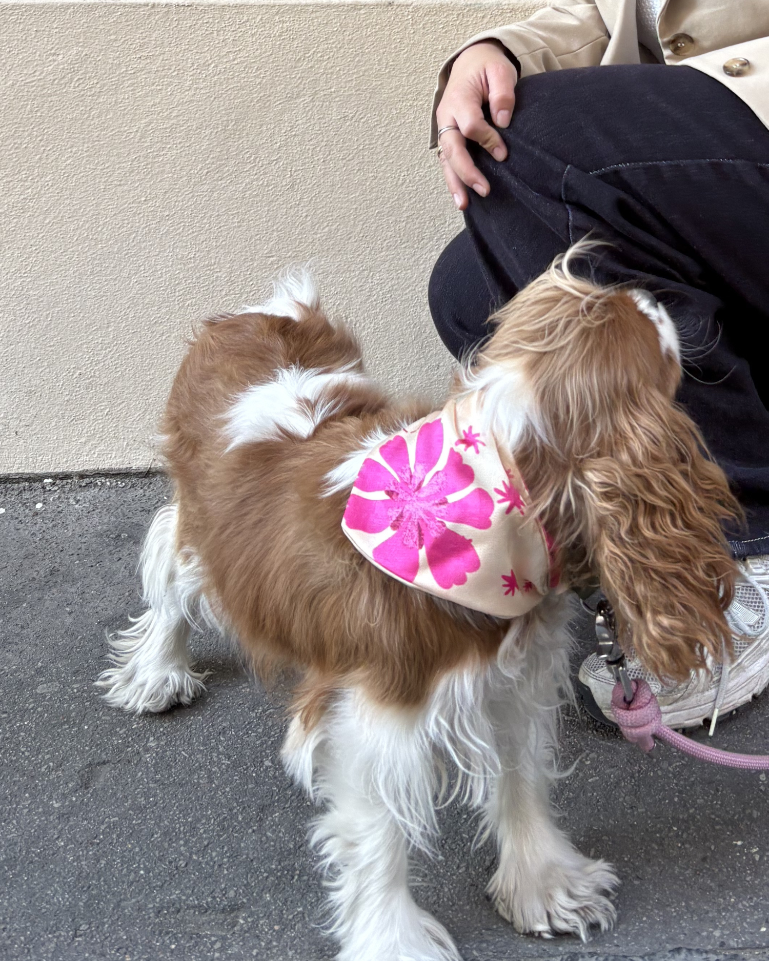 Bandana Océane