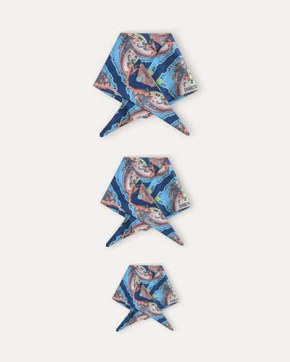 Bandana Coco