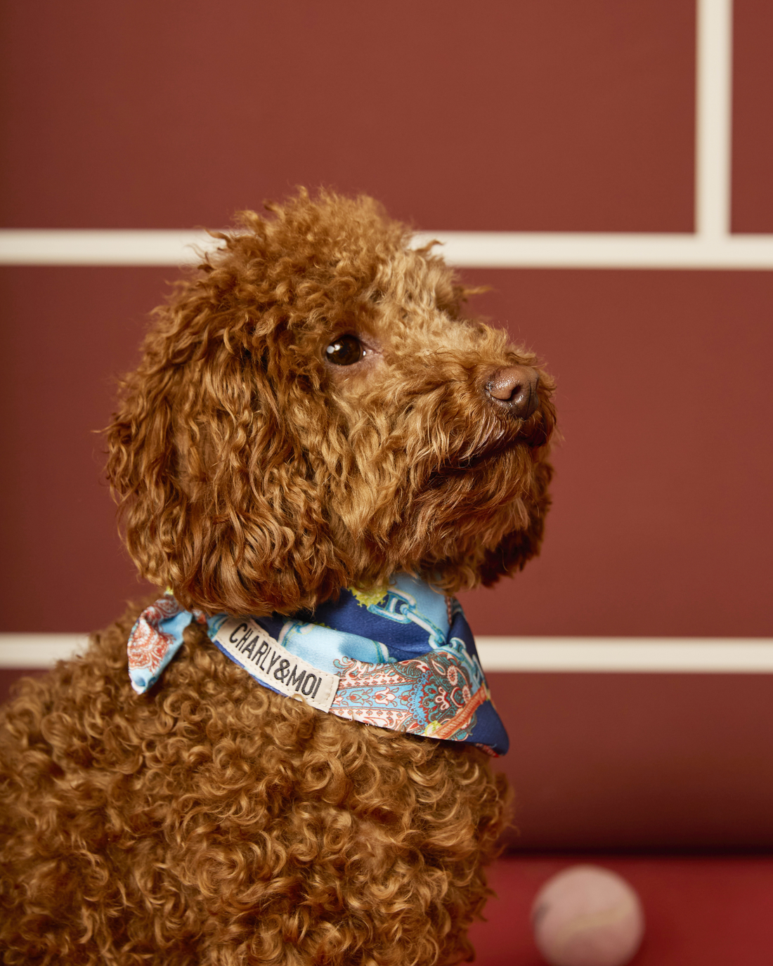 Bandana Coco