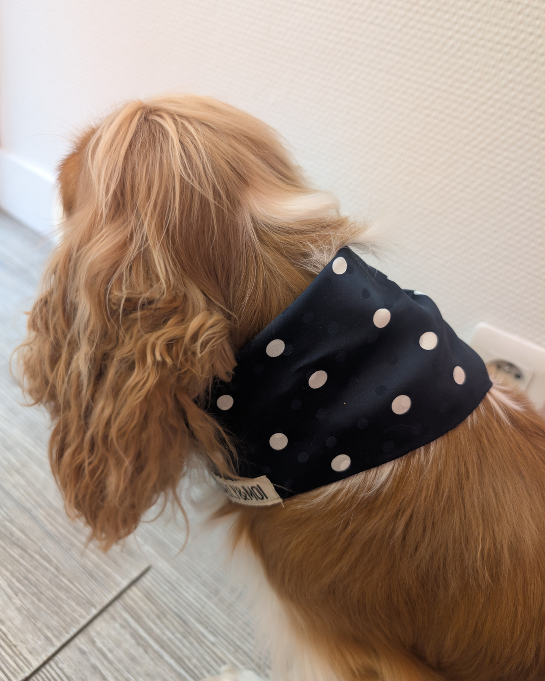 Bandana Colette