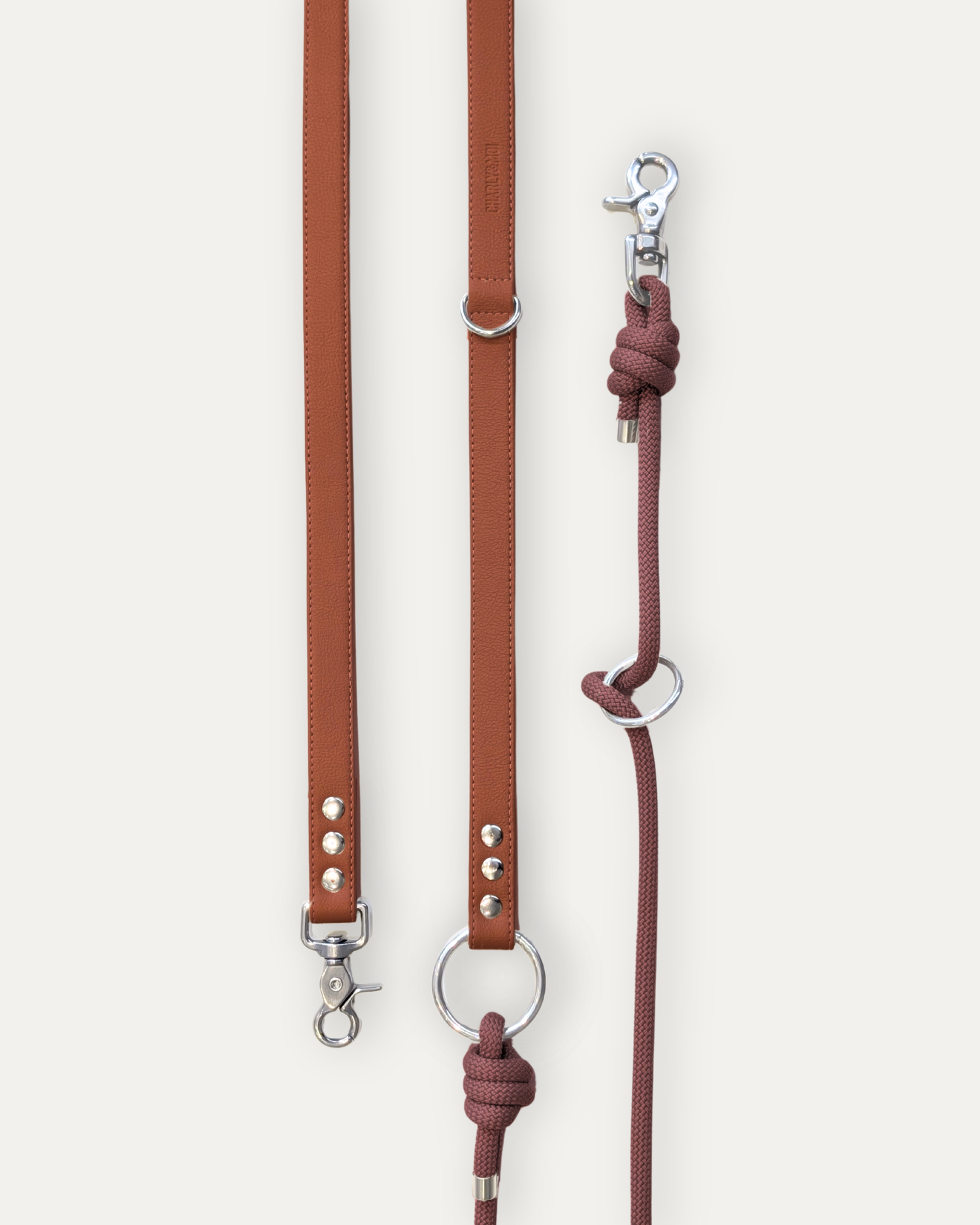 Laisse Cassandre – Bordeaux