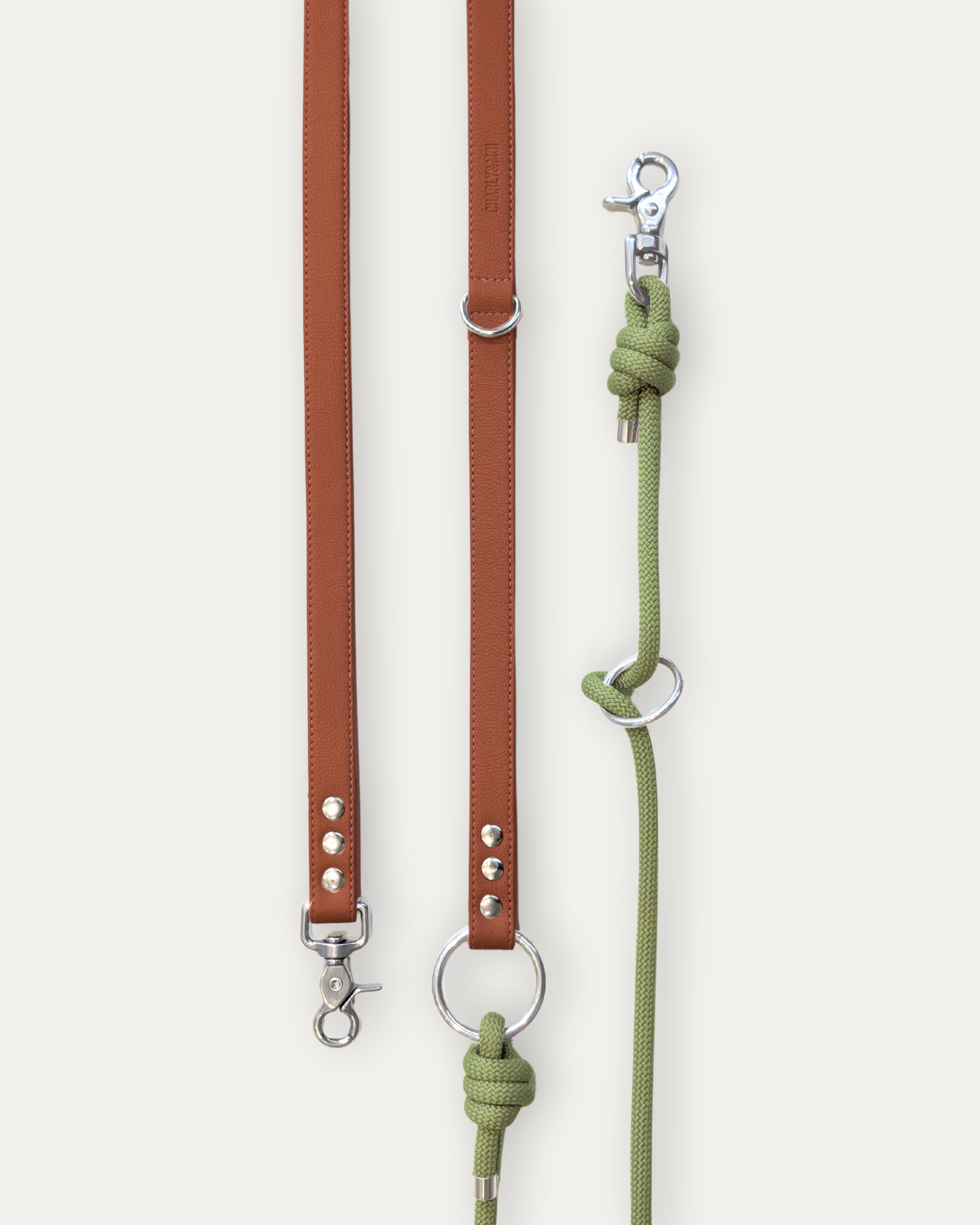 Laisse Cassandre – Bordeaux