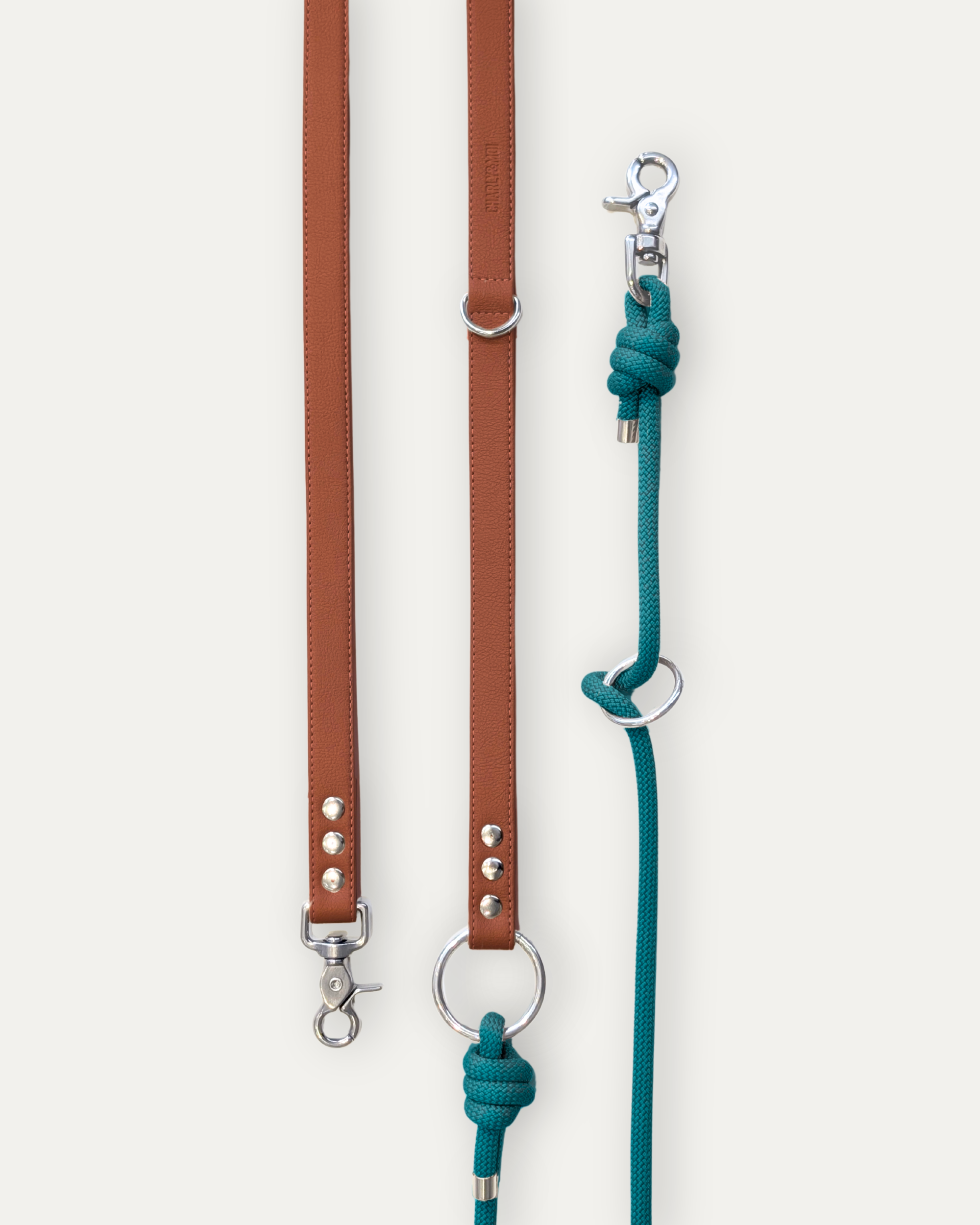 Laisse Cassandre – Bordeaux