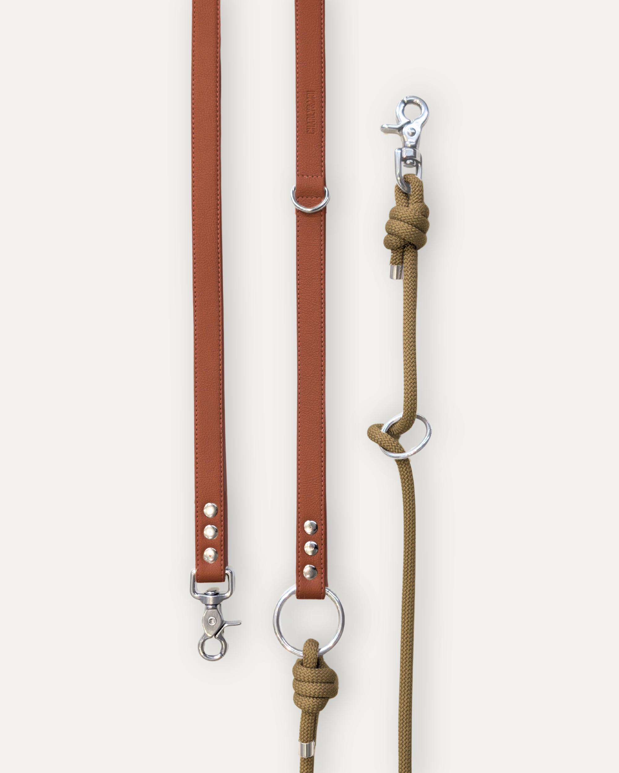 Laisse Cassandre – Bordeaux