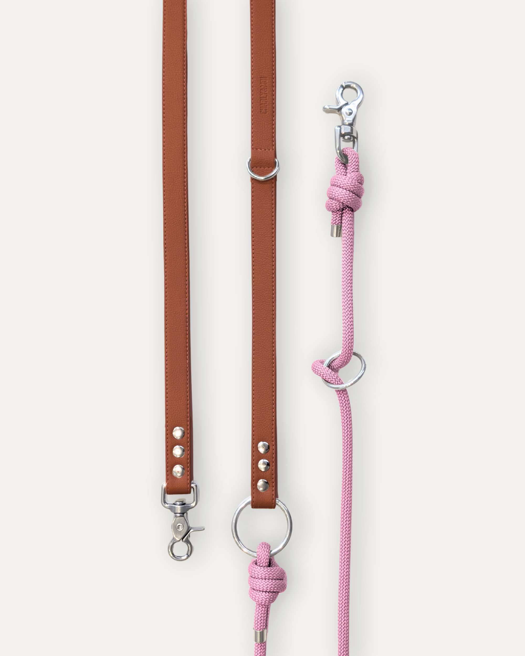 Laisse Cassandre – Bordeaux