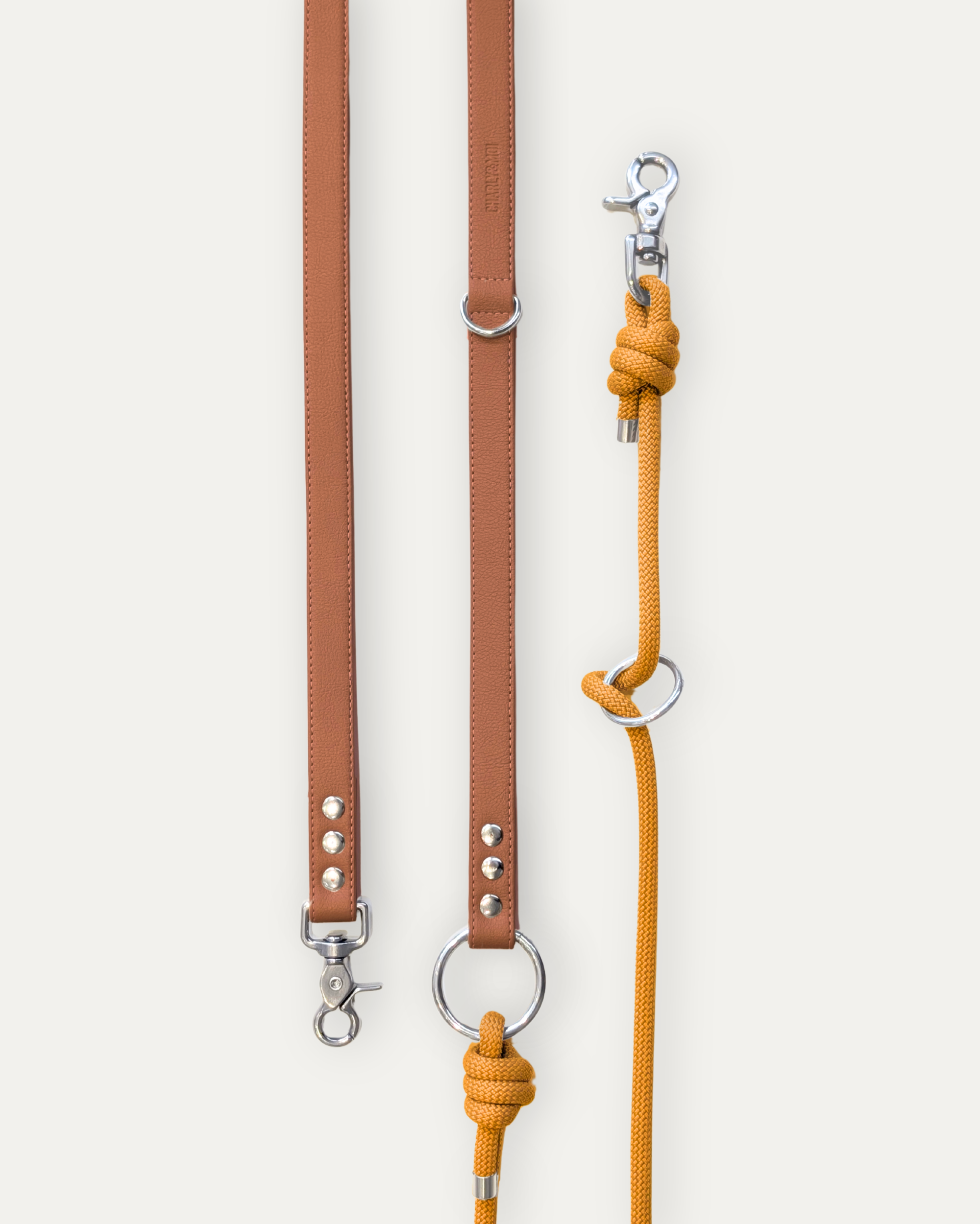 Laisse Cassandre – Cognac