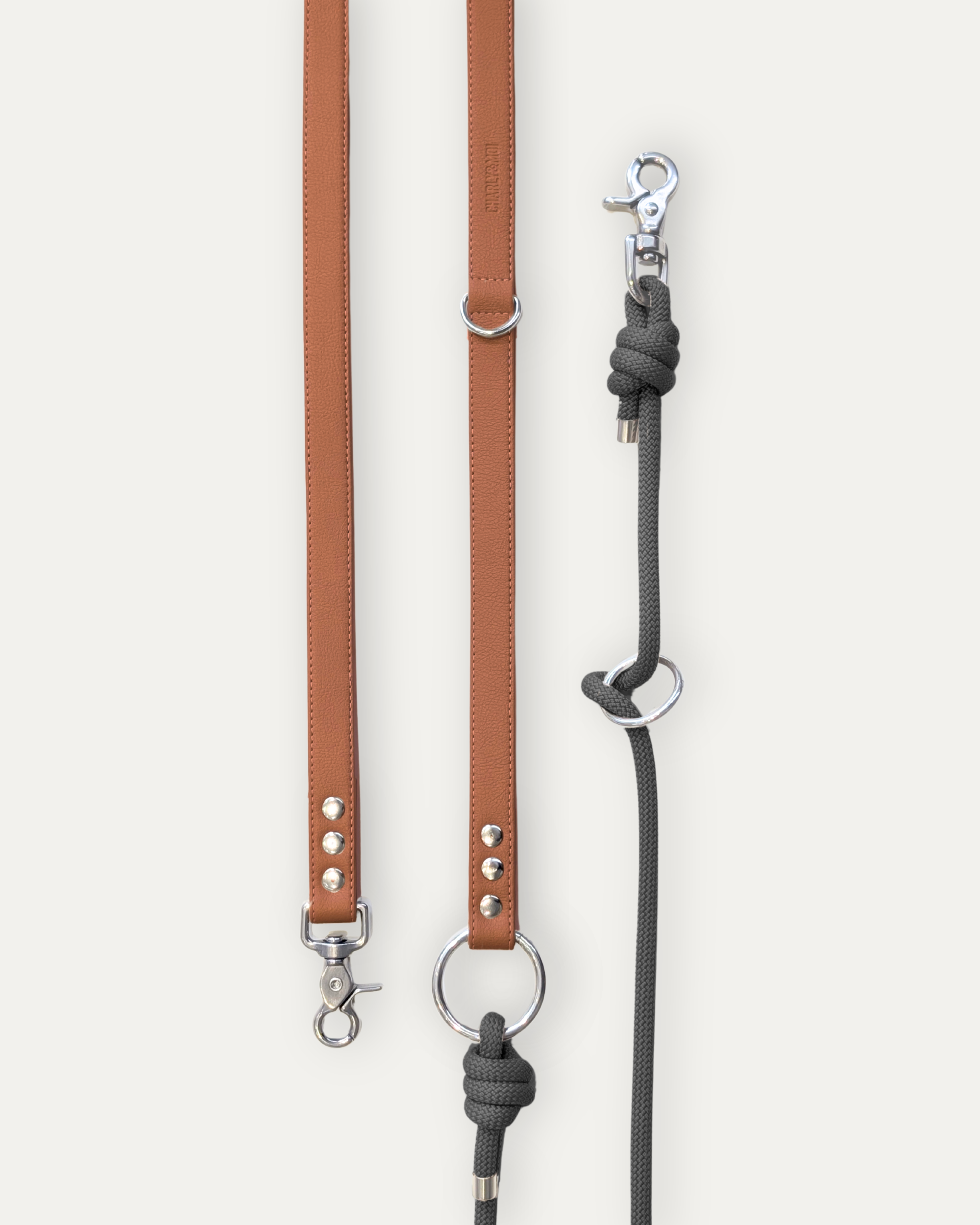 Laisse Cassandre – Cognac