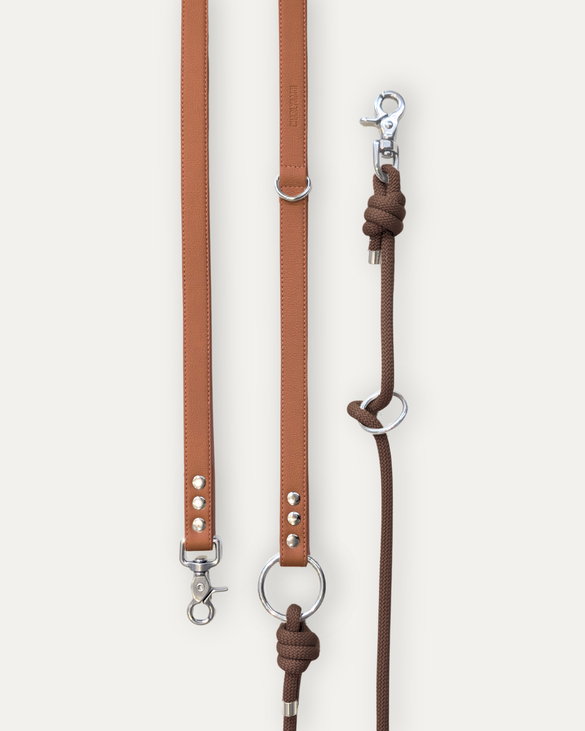 Laisse Cassandre – Cognac