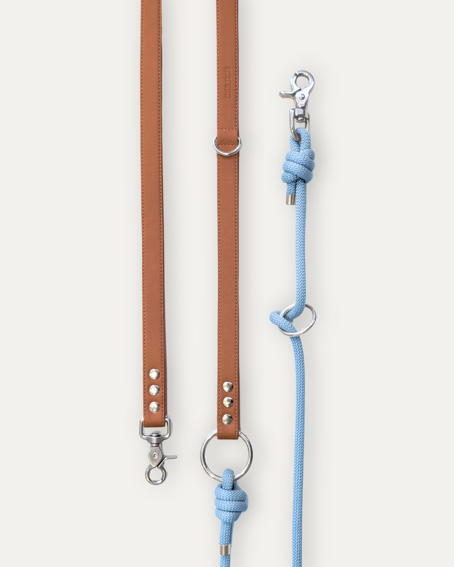 Laisse Cassandre – Cognac