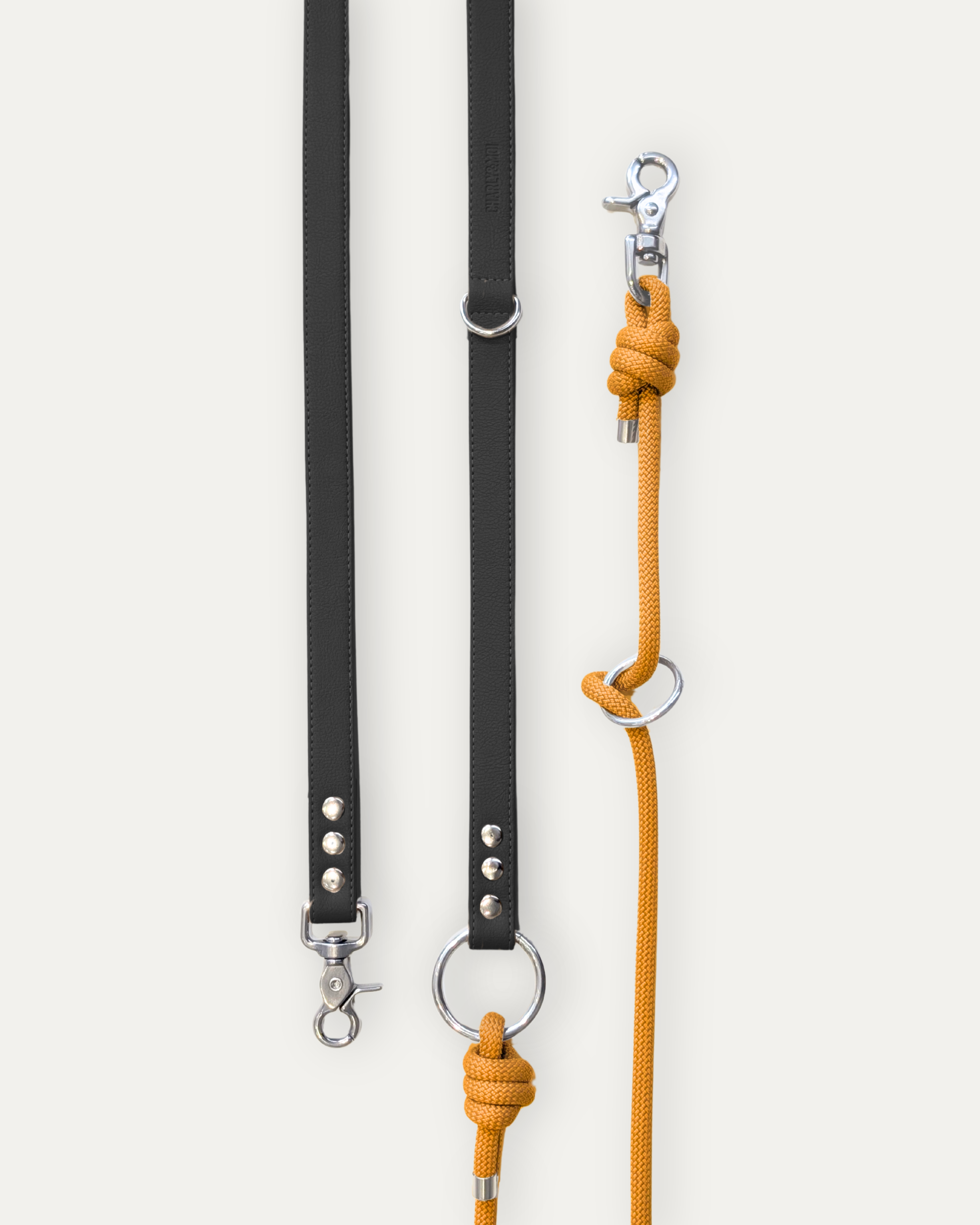 Laisse Cassandre – Noir