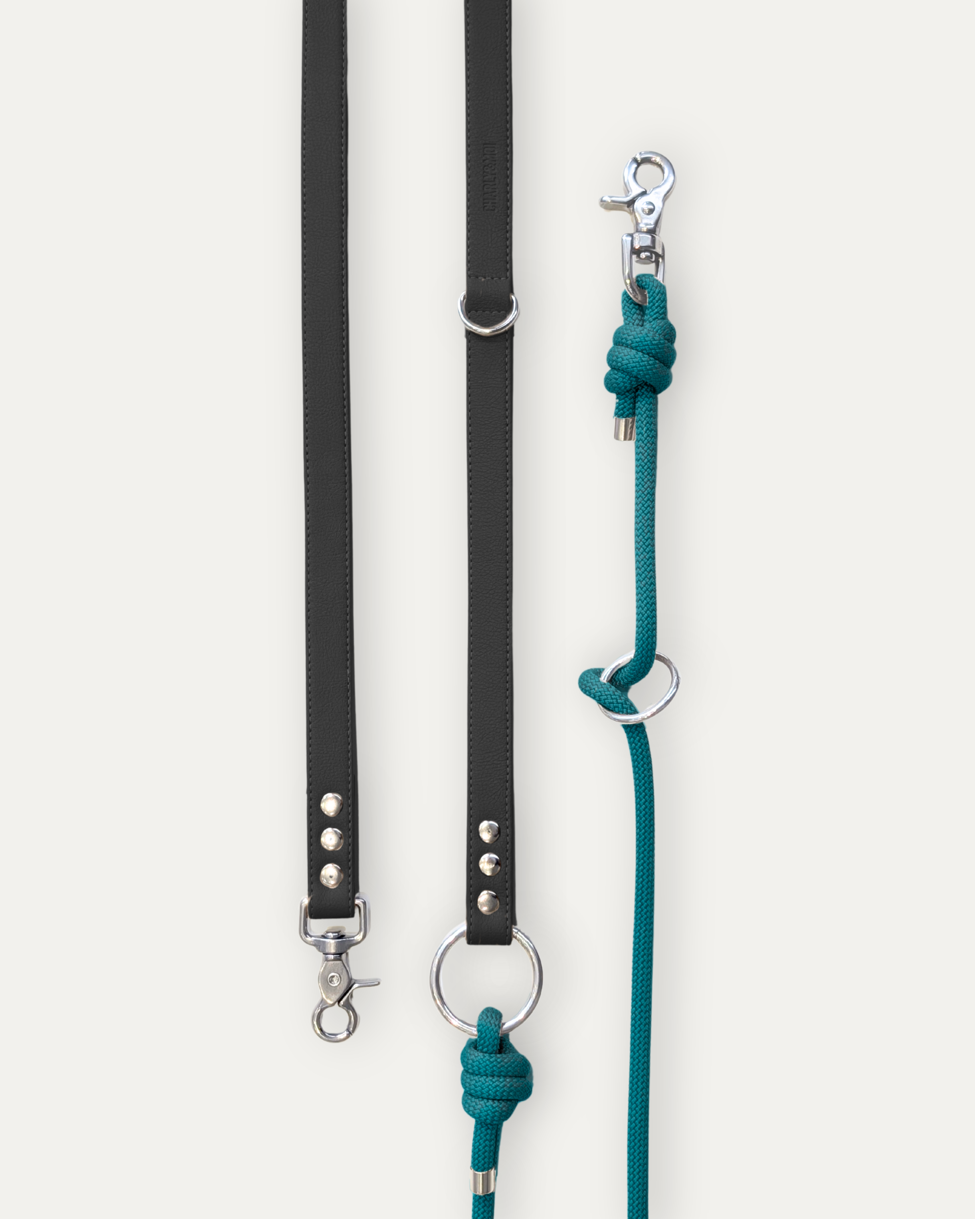 Laisse Cassandre – Noir