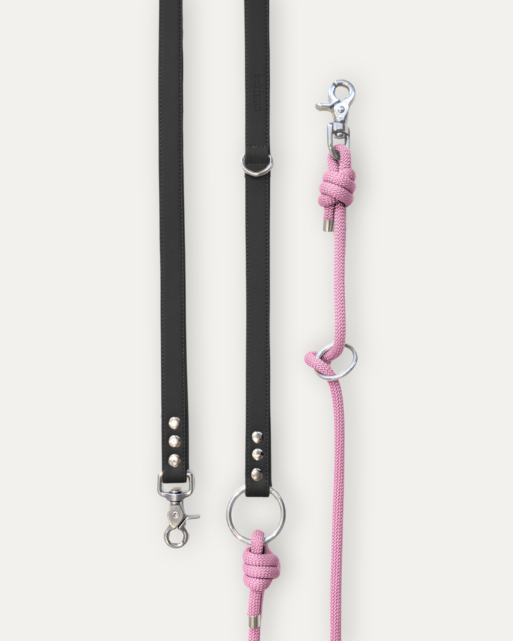 Laisse Cassandre – Noir