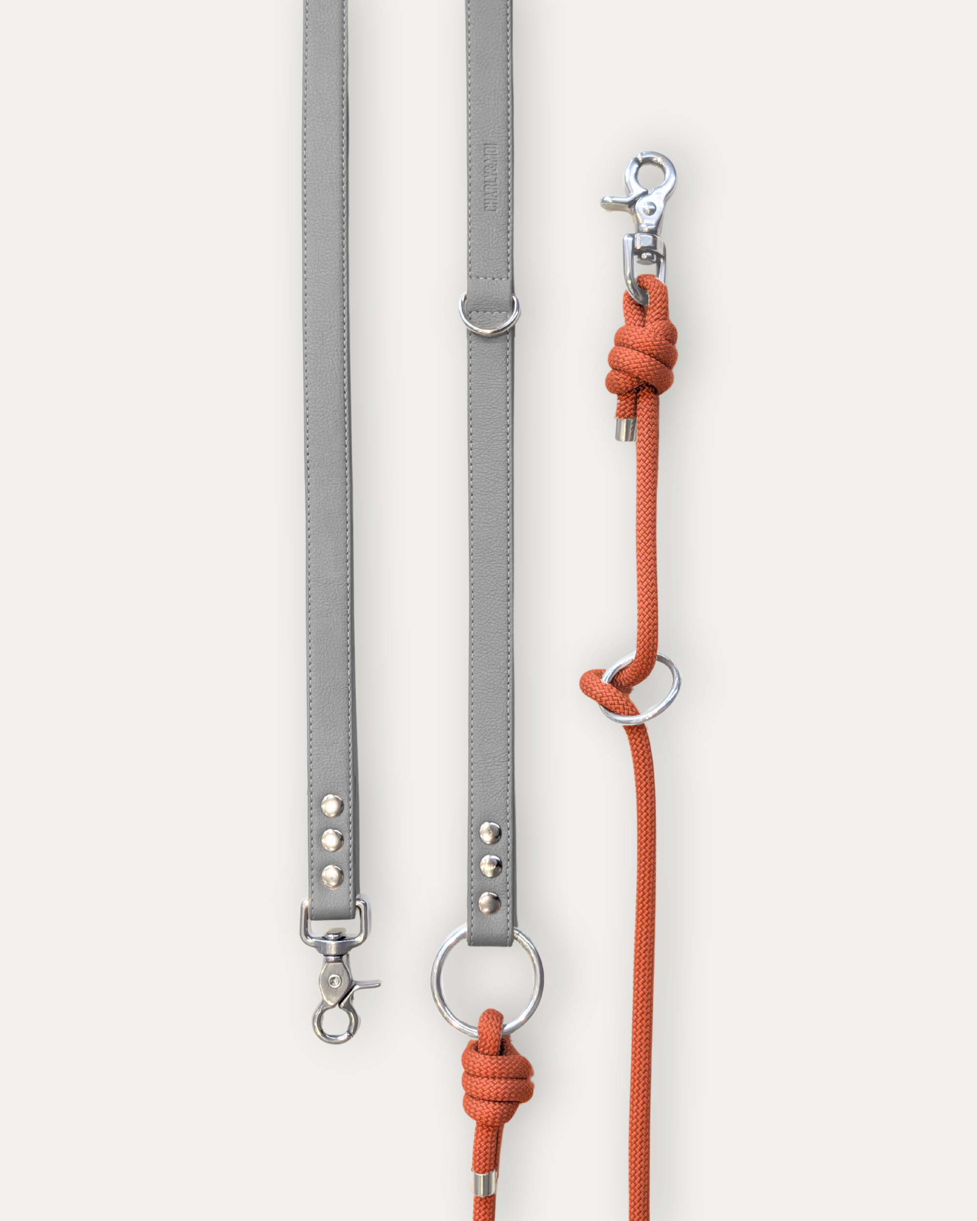 Laisse Cassandre – Perle