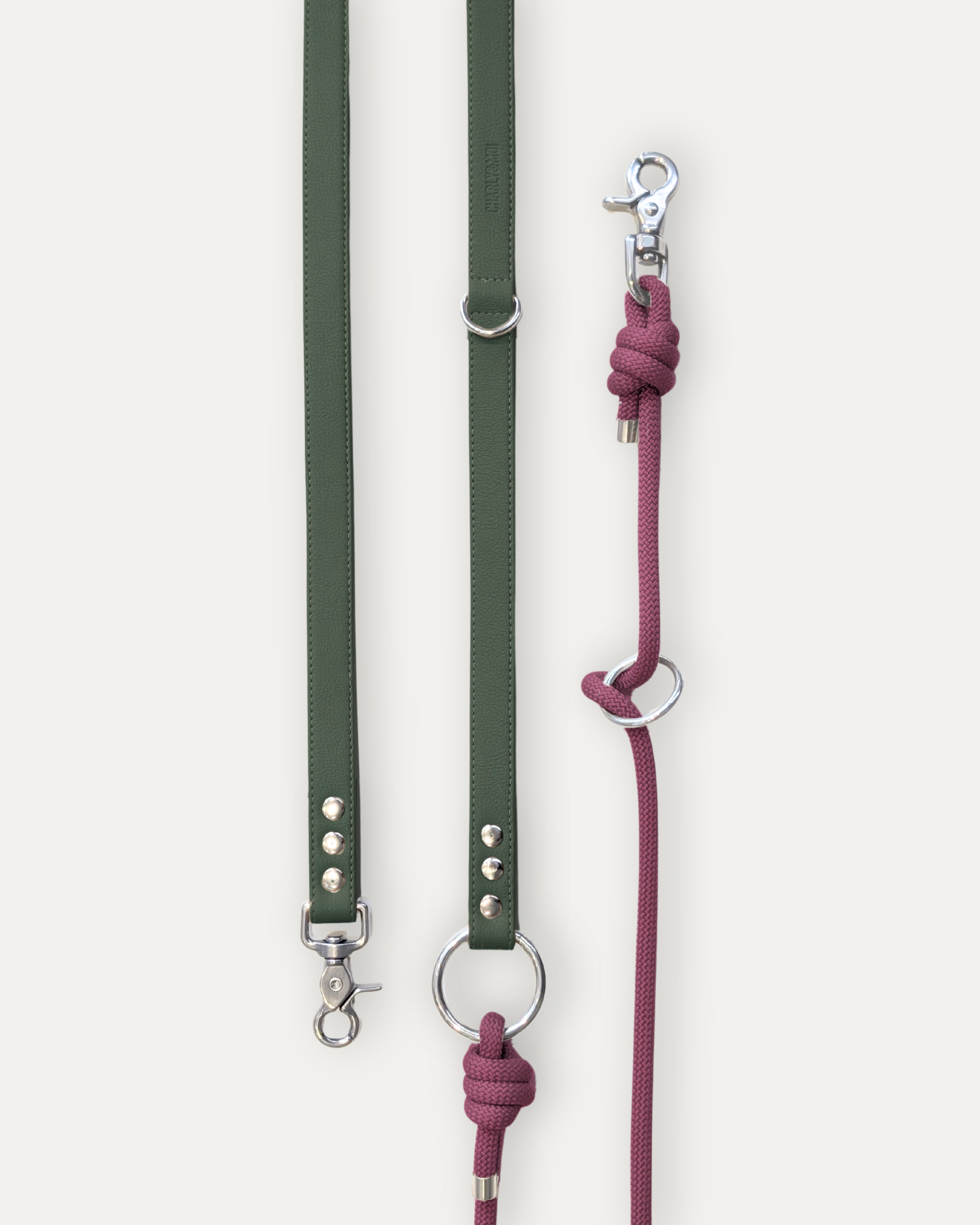 Laisse Cassandre – Sapin