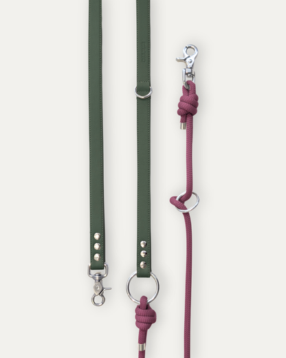 Laisse Cassandre – Sapin