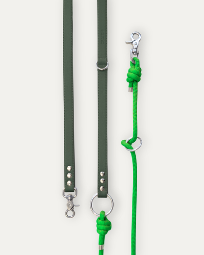 Laisse Cassandre – Sapin