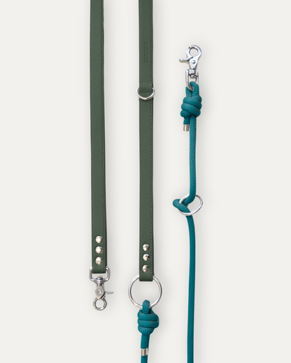 Laisse Cassandre – Sapin