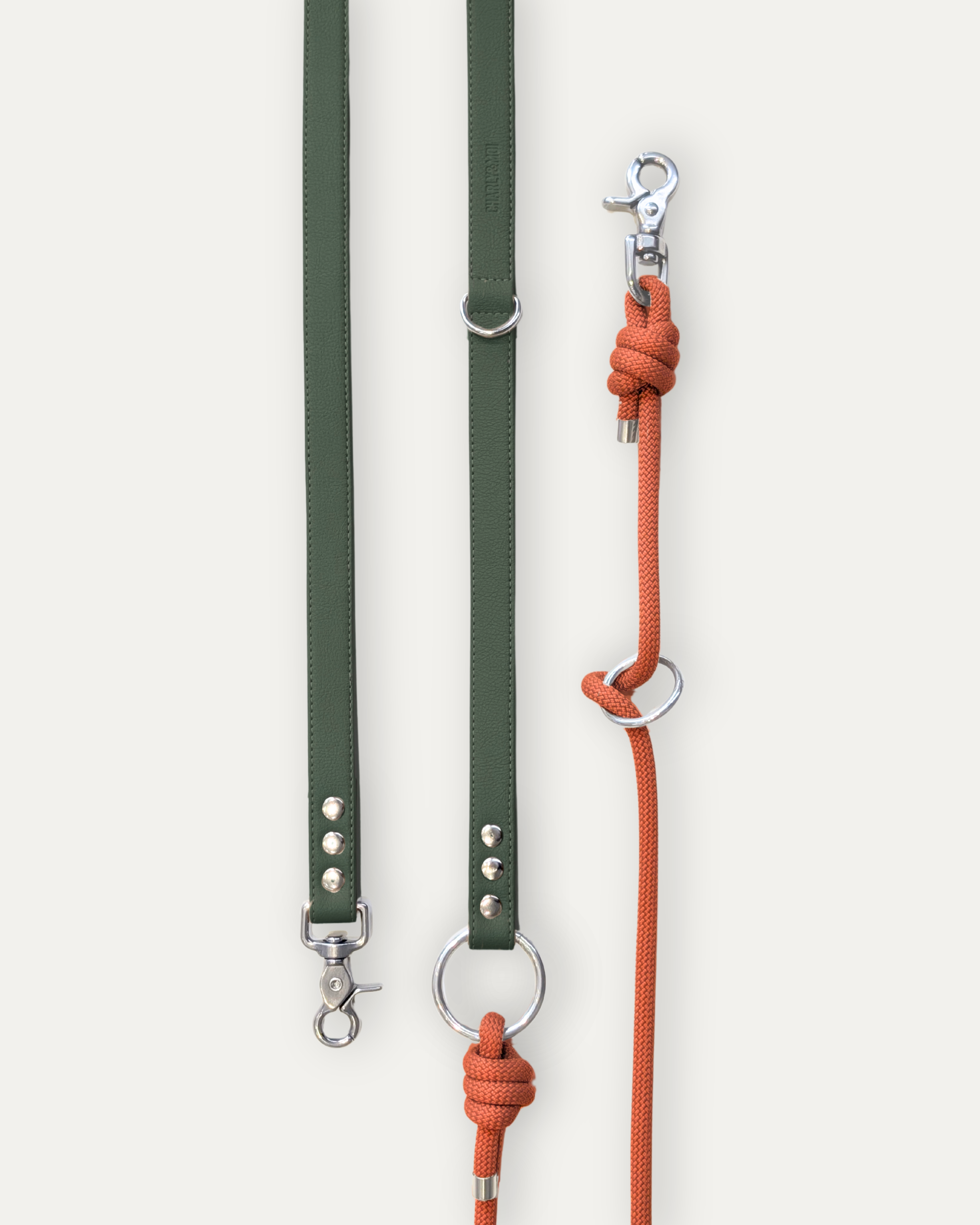 Laisse Cassandre – Sapin