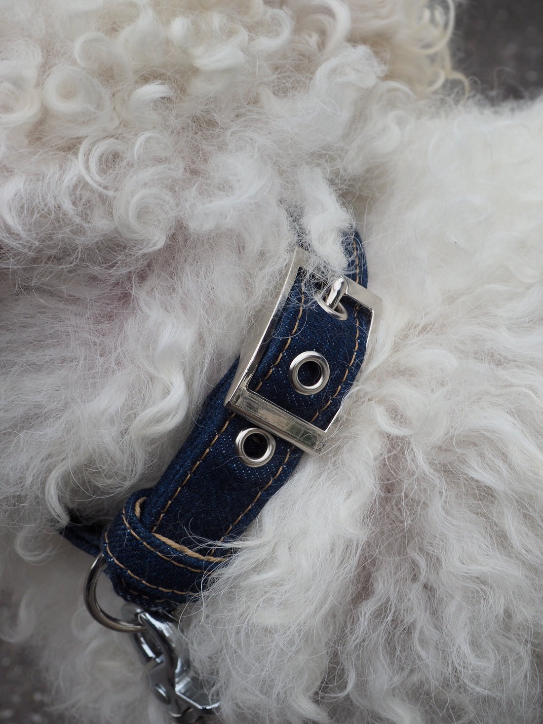 Collier pour chien en jean renforcé par une sangle en nylon, fabriqué en France à partir de stocks d&