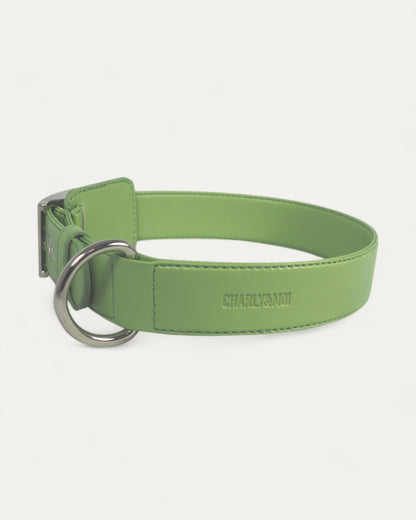 Collier personnalisable pour chien en cuir vegan de pommes, vert, élégant, durable, cruelty-free et respectueux de l&