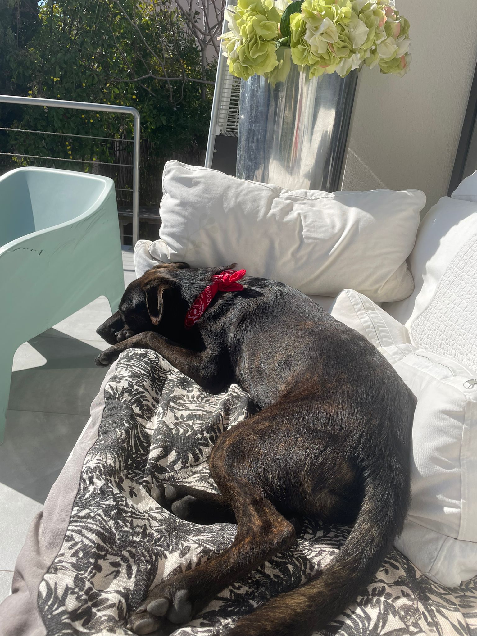 Ambassadeurs Charly et moi