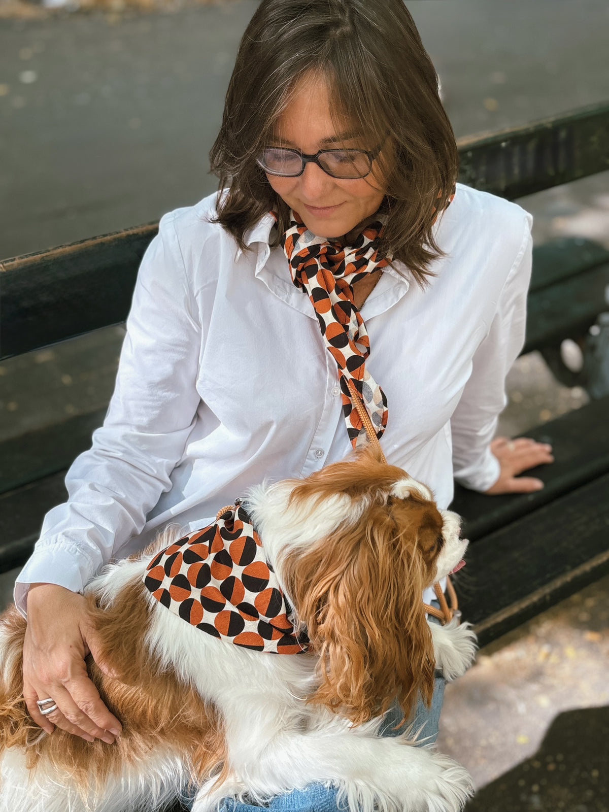 Foulard pois bicolores Basile assorti chien – photo 1