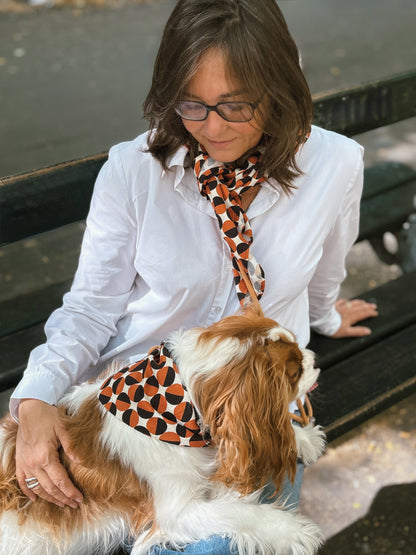 Foulard pois bicolores Basile assorti chien – photo 1