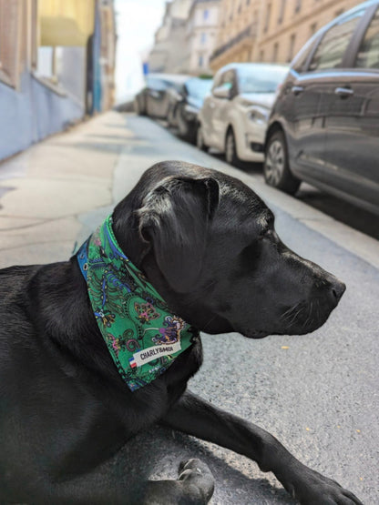 Les bandanas foulard