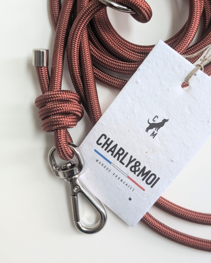 Laisse pour petits chiens 4 positions couleur cuivre