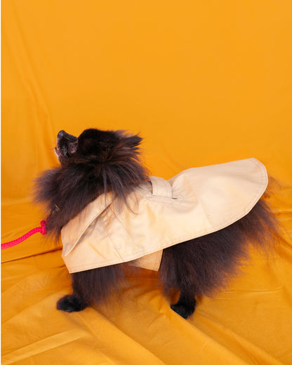 Manteau imperméable pour chien style trench en gabardine, fabriqué en France, intérieur au choix en coton ou polaire, vue spitz nain