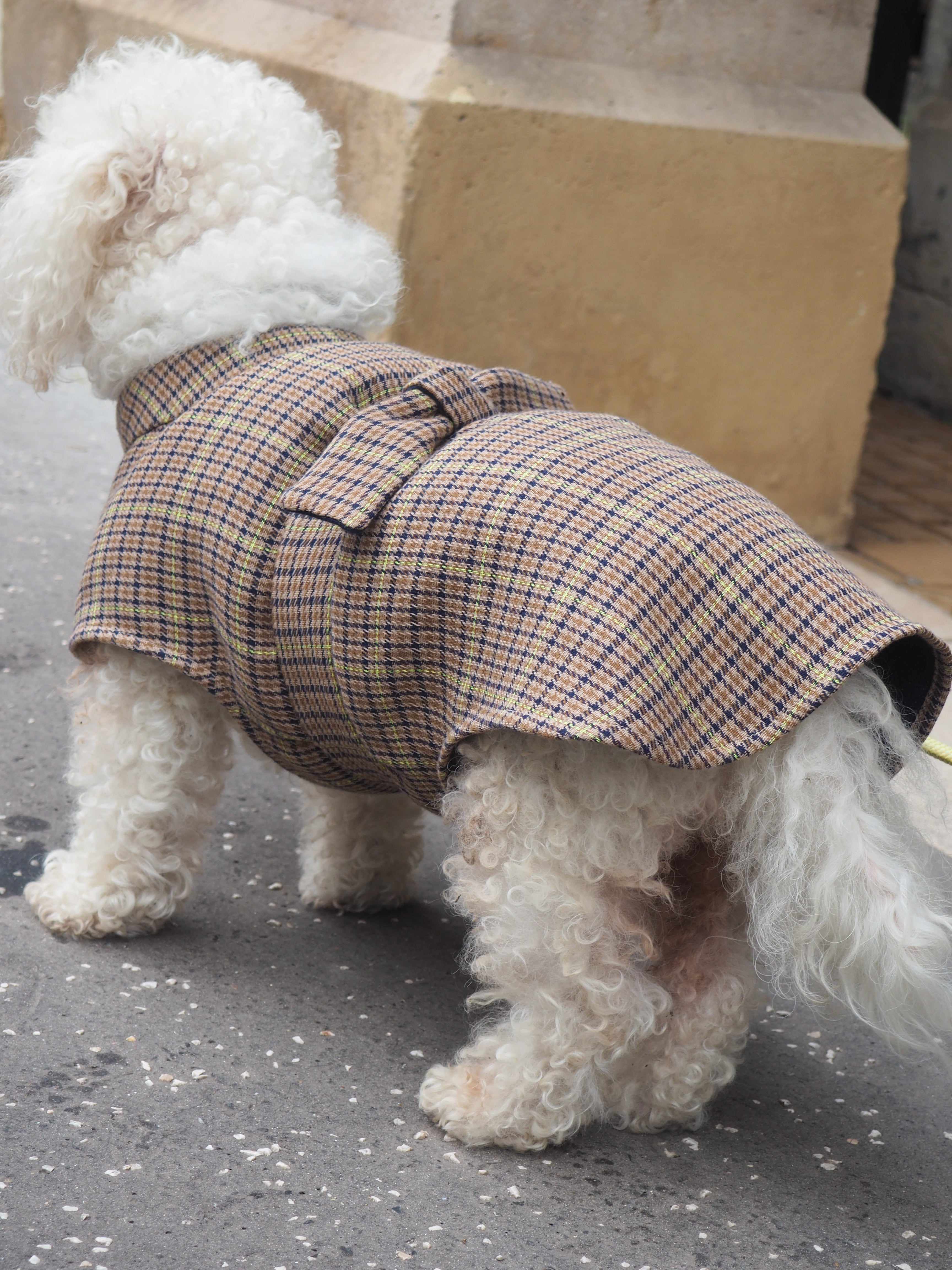 Manteau réversible pour chien en laine, motif à carreaux tartan et bleu marine, porté par un petit chien, chaud et élégant pour l&