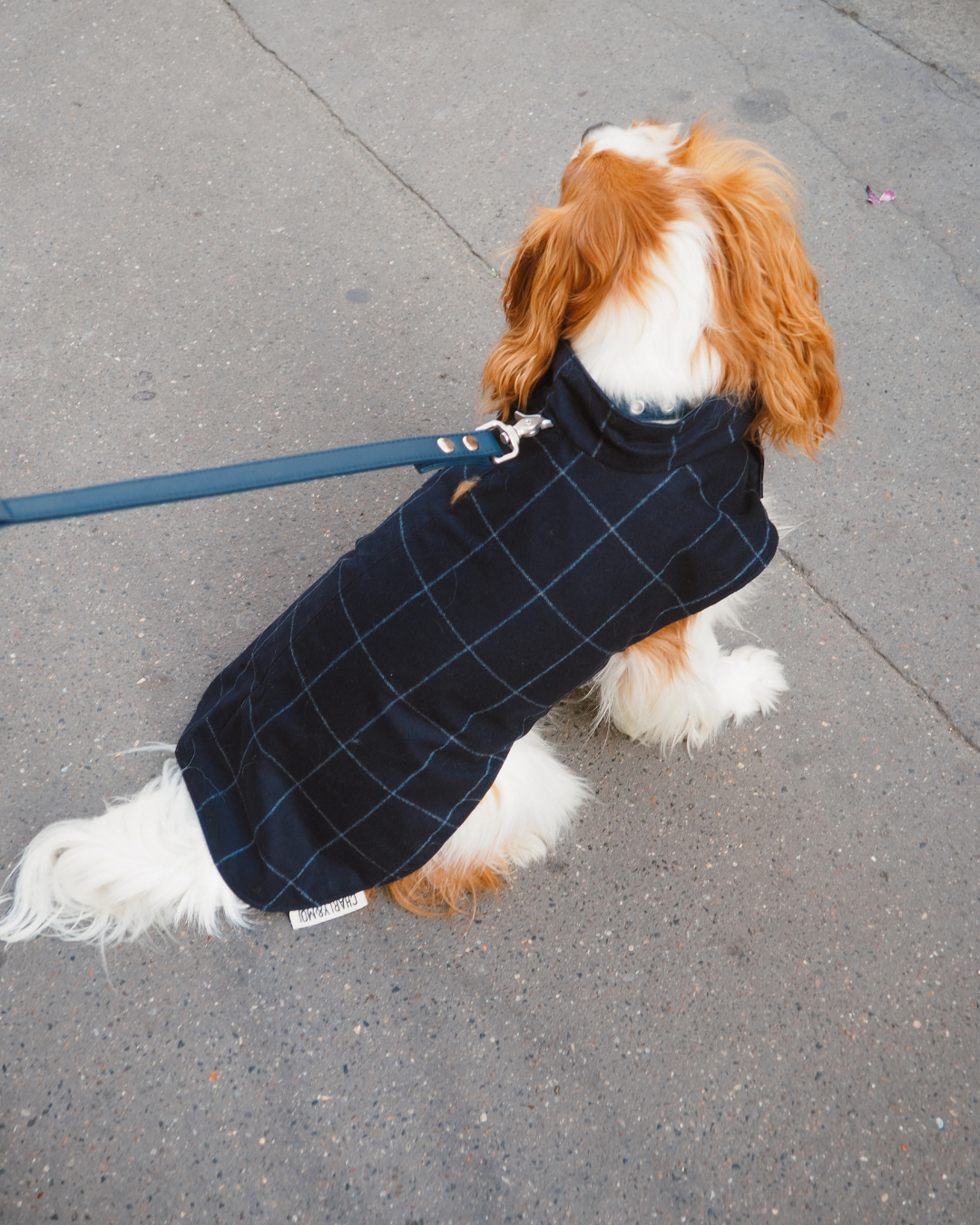 Manteau Léonard pour chien